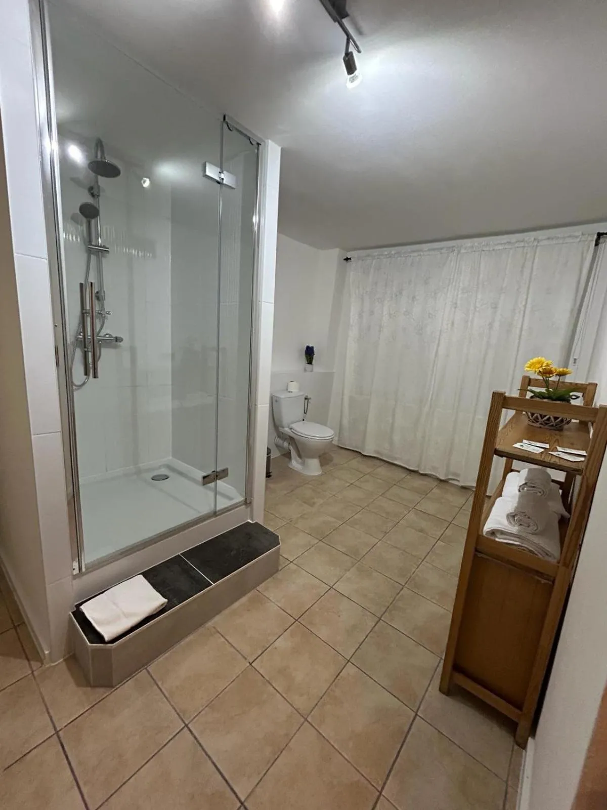 Shower in Hotel und Restaurant Zum Löwen