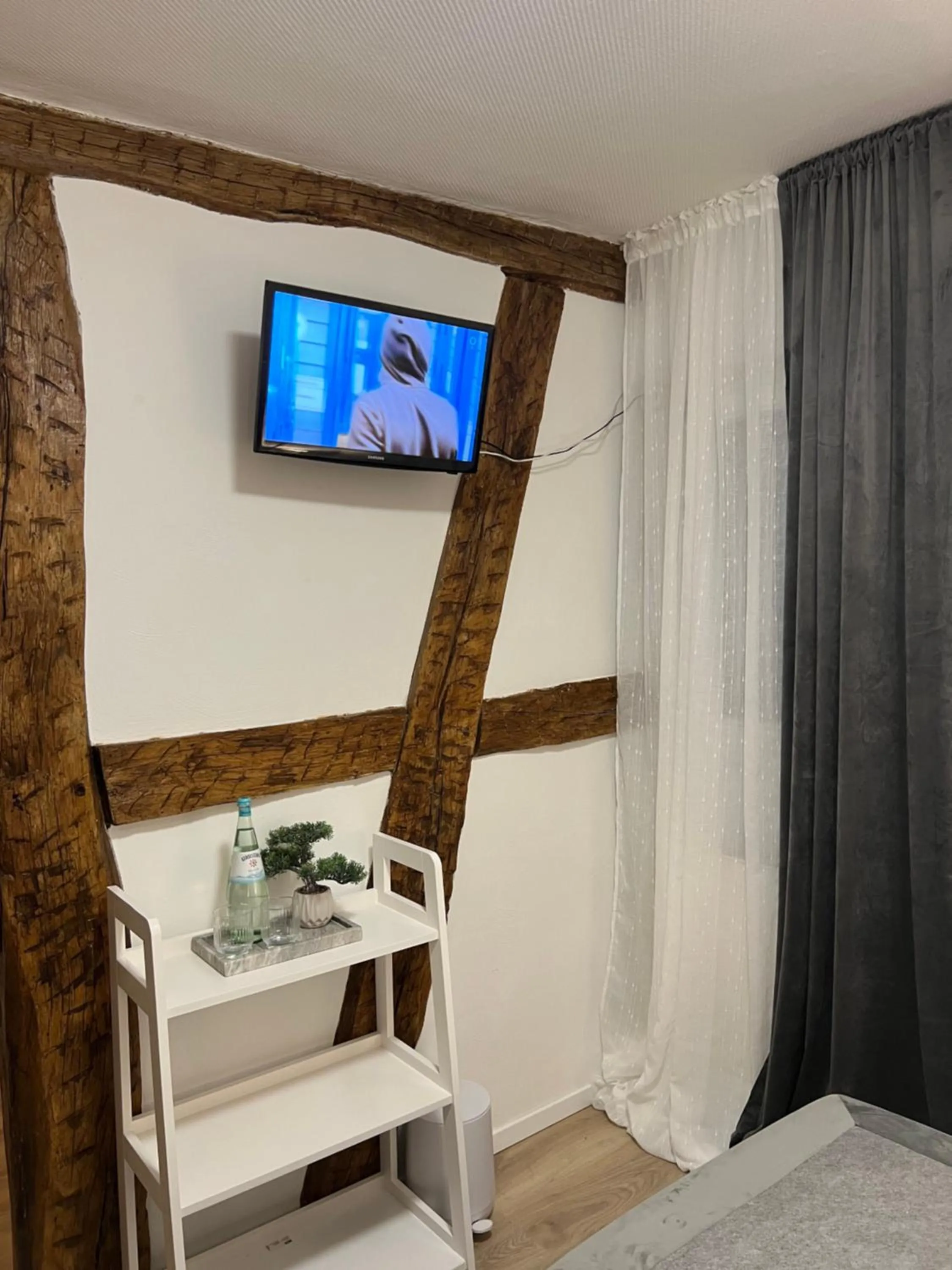 TV and multimedia, Bed in Hotel und Restaurant Zum Löwen