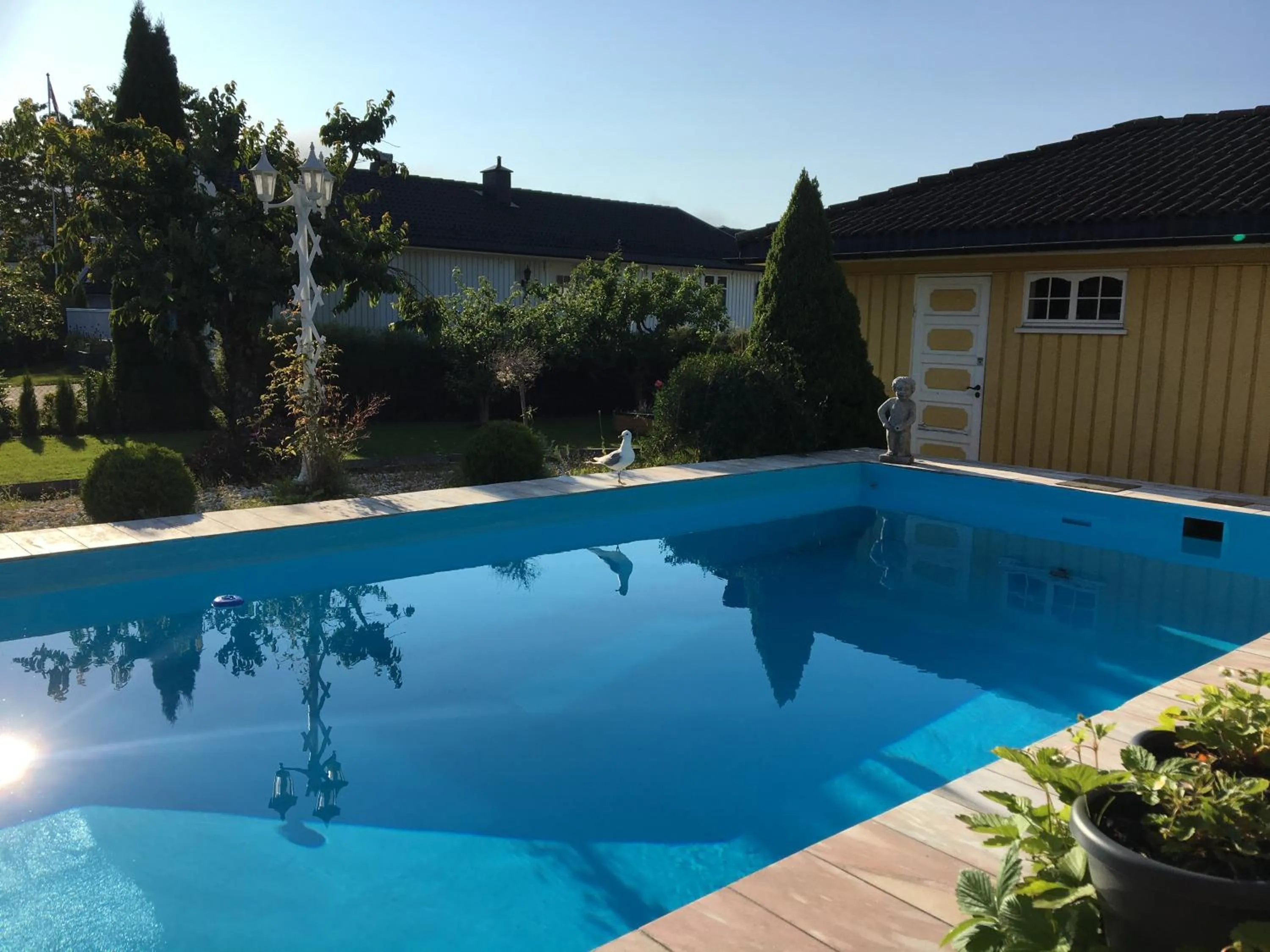 Swimming pool in Just Like Home Bed & Spa Porsgrunn