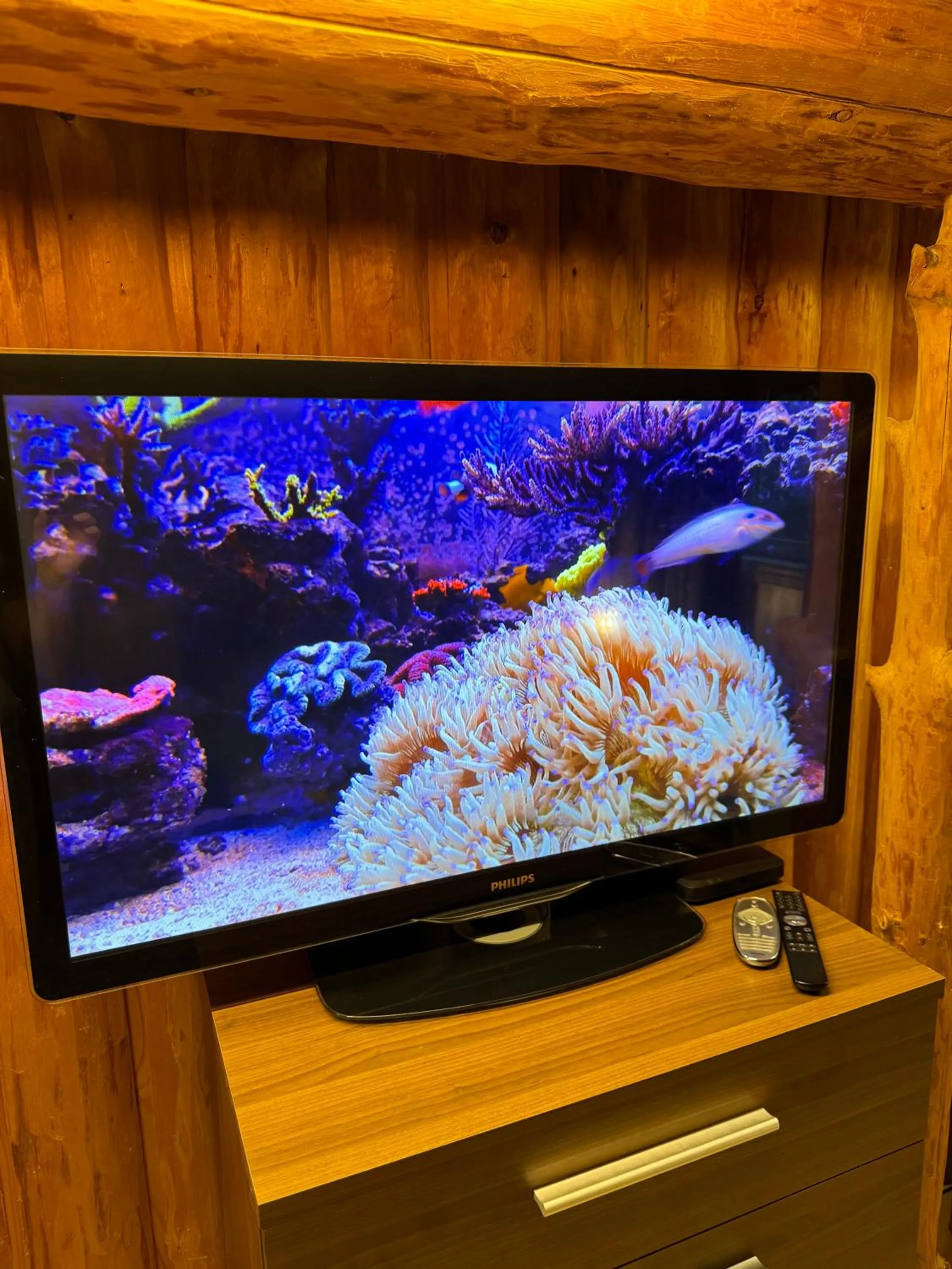 TV and multimedia in Just Like Home Bed & Spa Porsgrunn