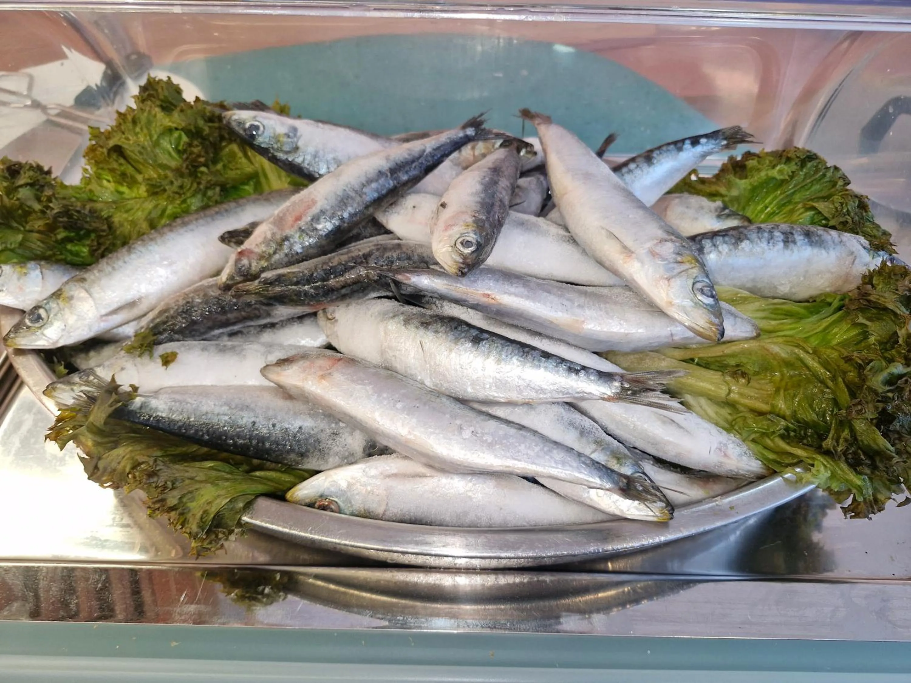 Hotel Lodomar Spa & Talasoterapia