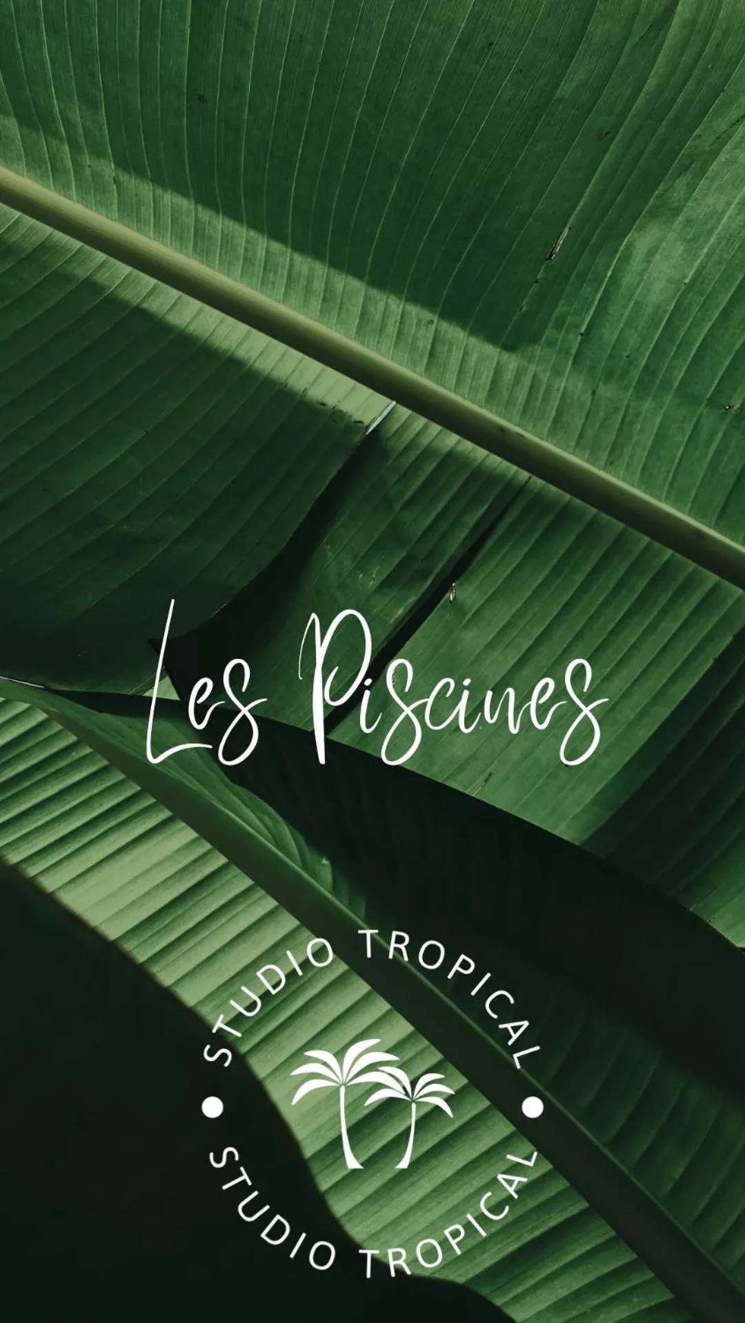 Studio Tropical avec vue mer dans une résidence hôtelière