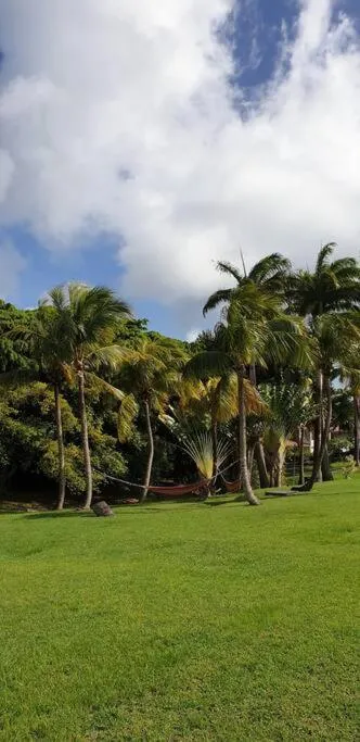 Garden in Studio Tropical avec vue mer dans une résidence hôtelière