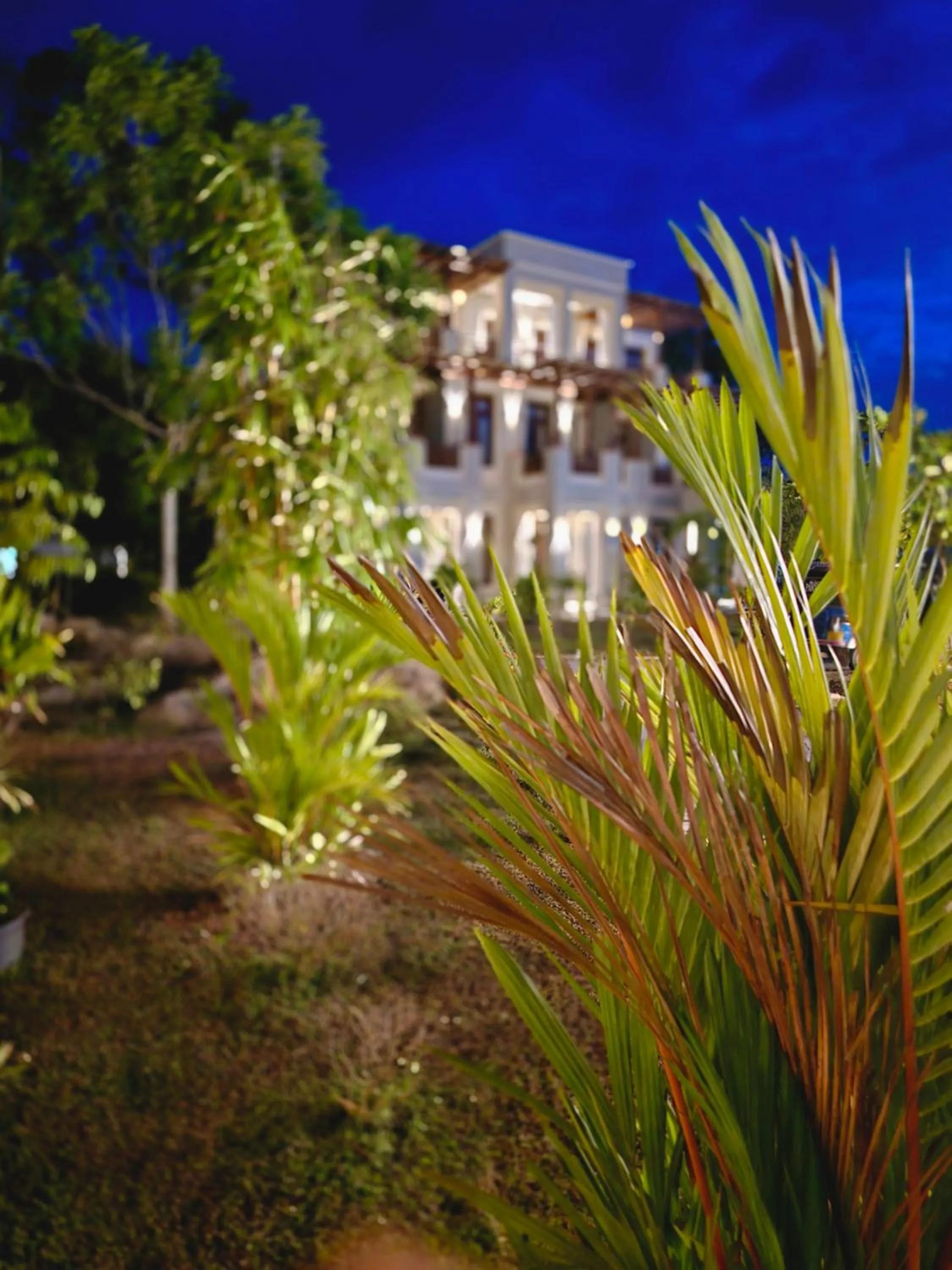 Property building in Paddyway Resort