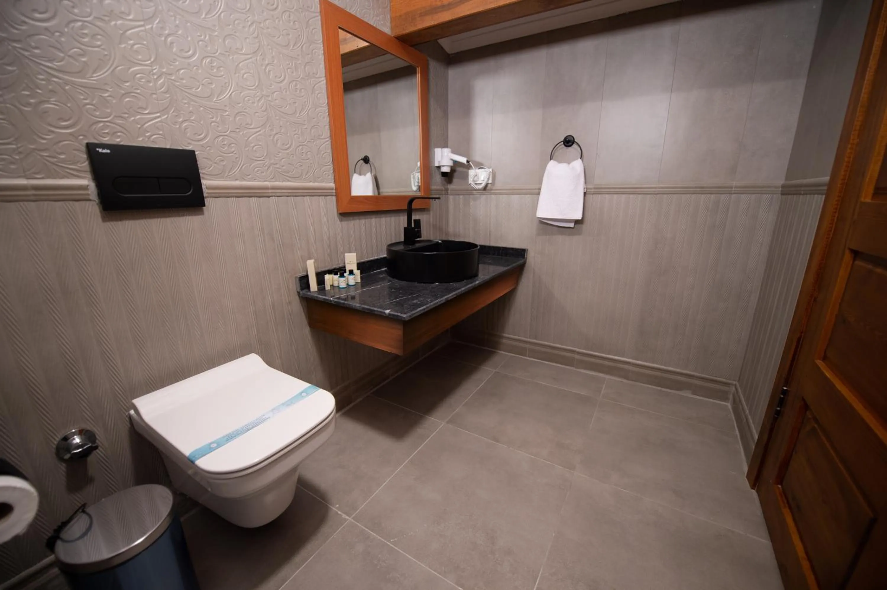 Toilet in AHISKA PALAS OTEL