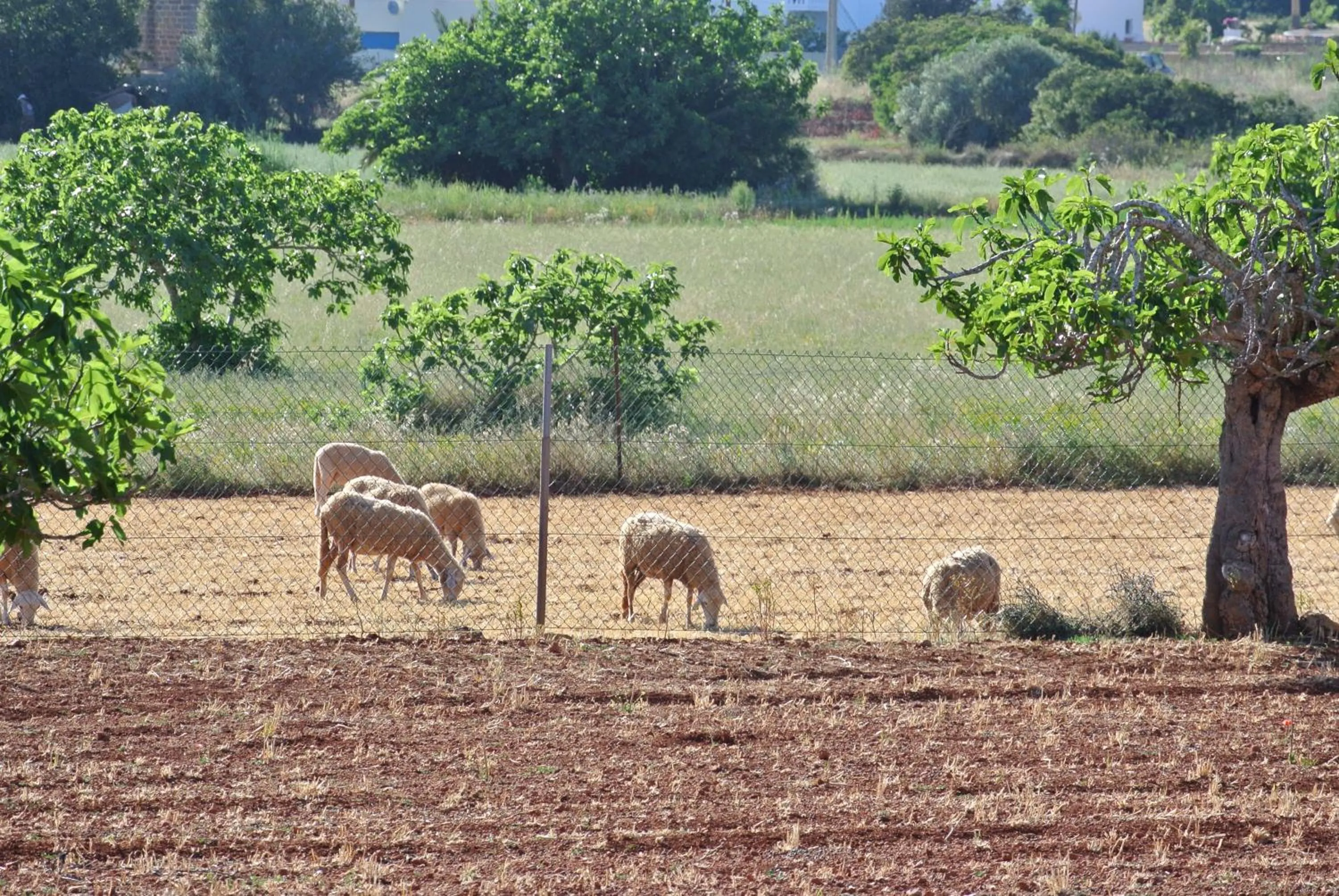 Area and facilities in Hotel Boutique Las Arenas