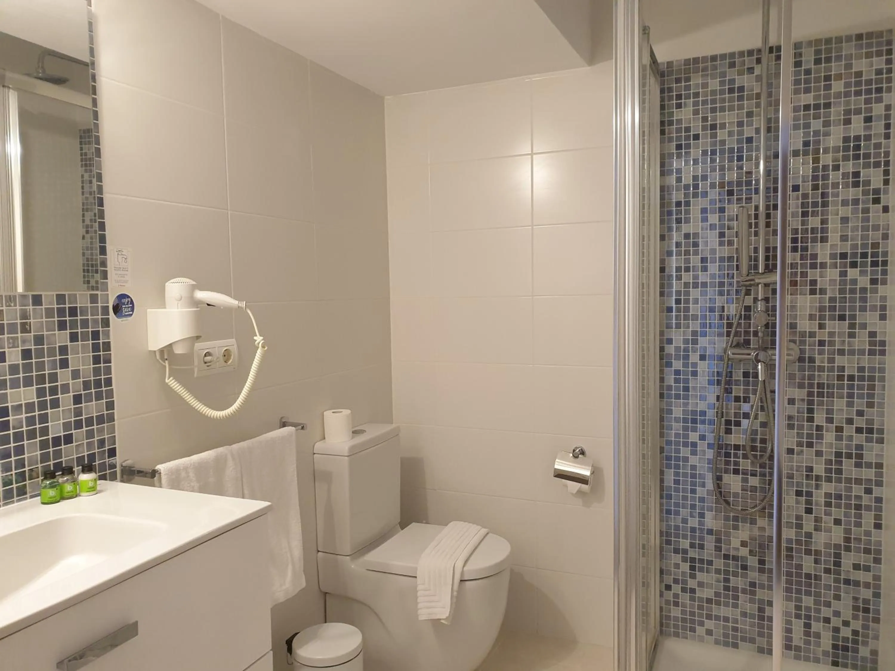 Shower in Hotel Boutique Las Arenas