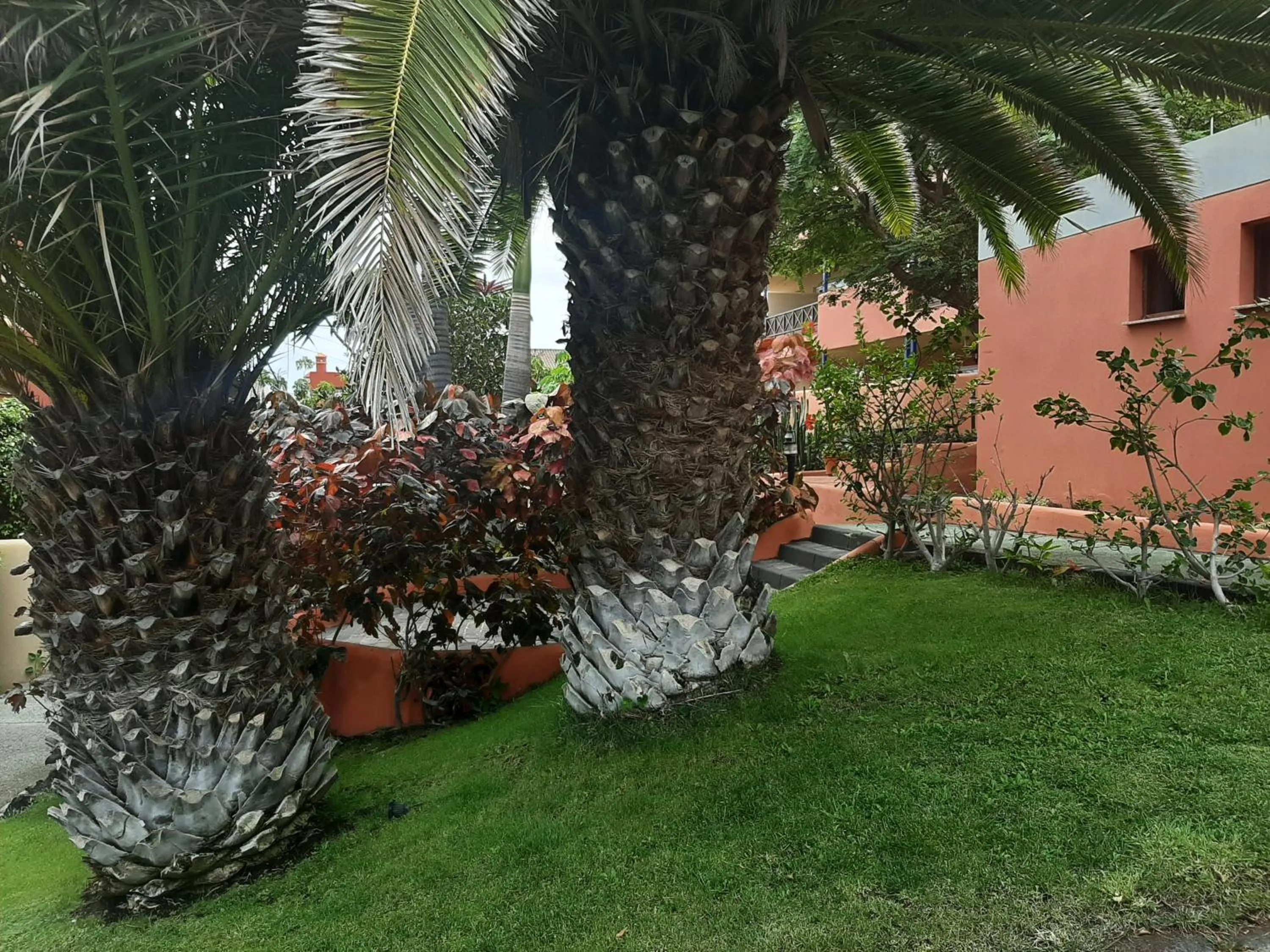 Aparthotel El Cerrito