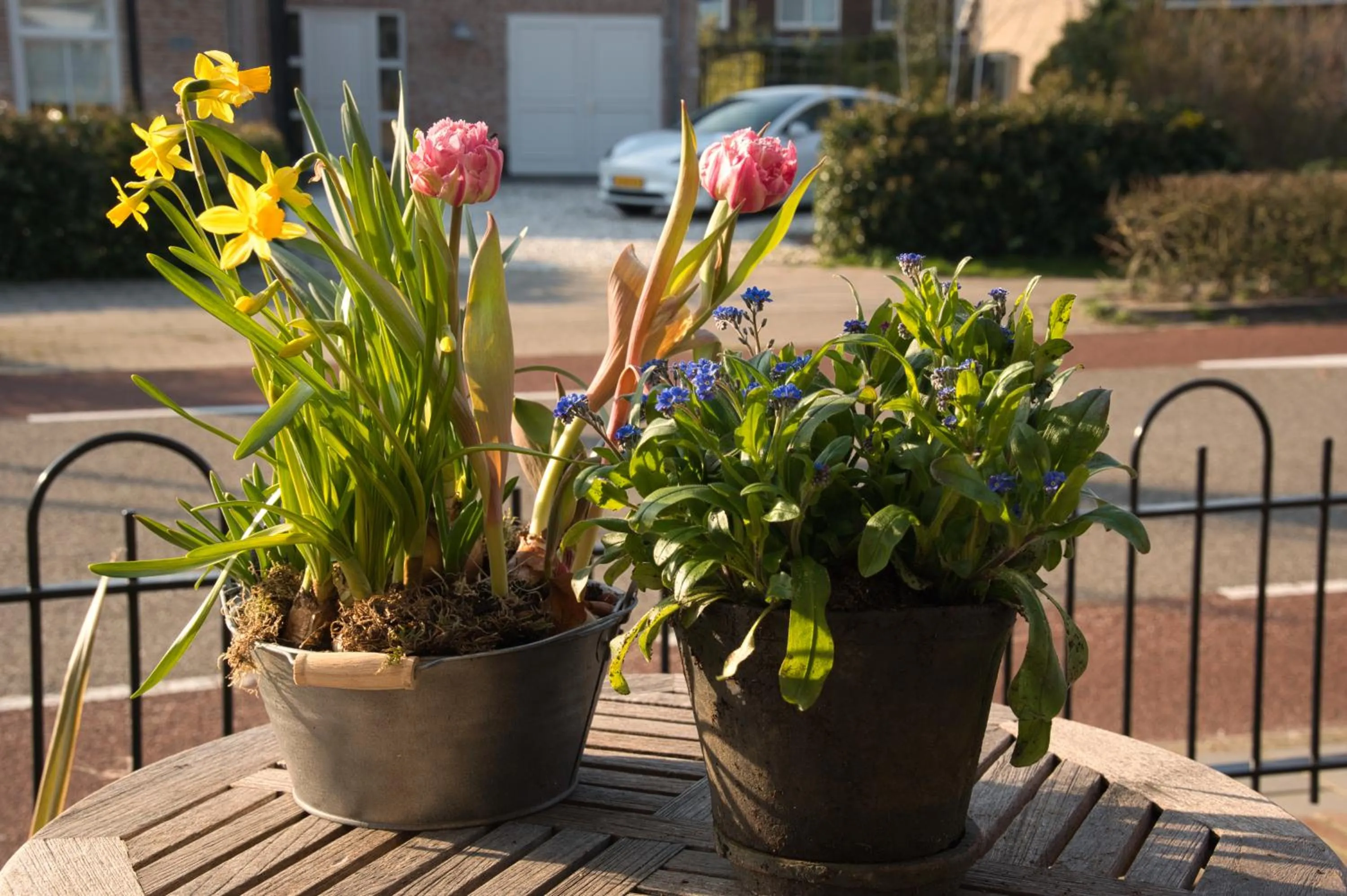 Spring in Bed and Breakfast Geliefd