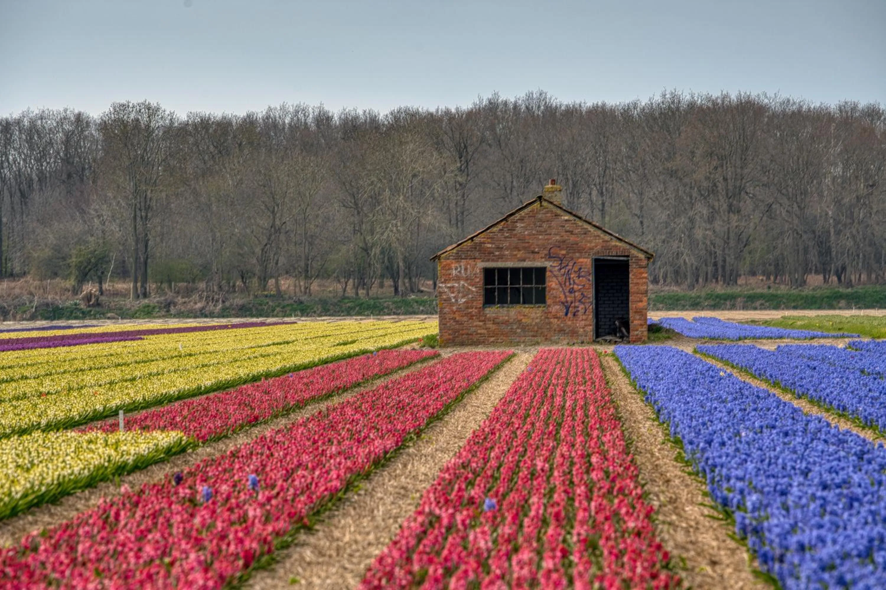 Day in Bed and Breakfast Geliefd
