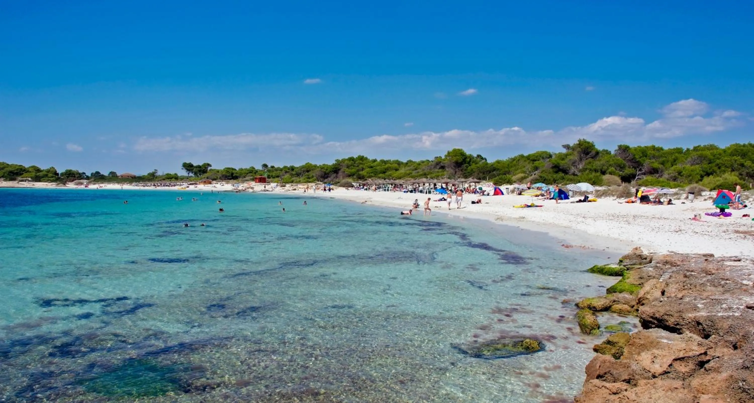 Area and facilities in Hotel Isla de Cabrera