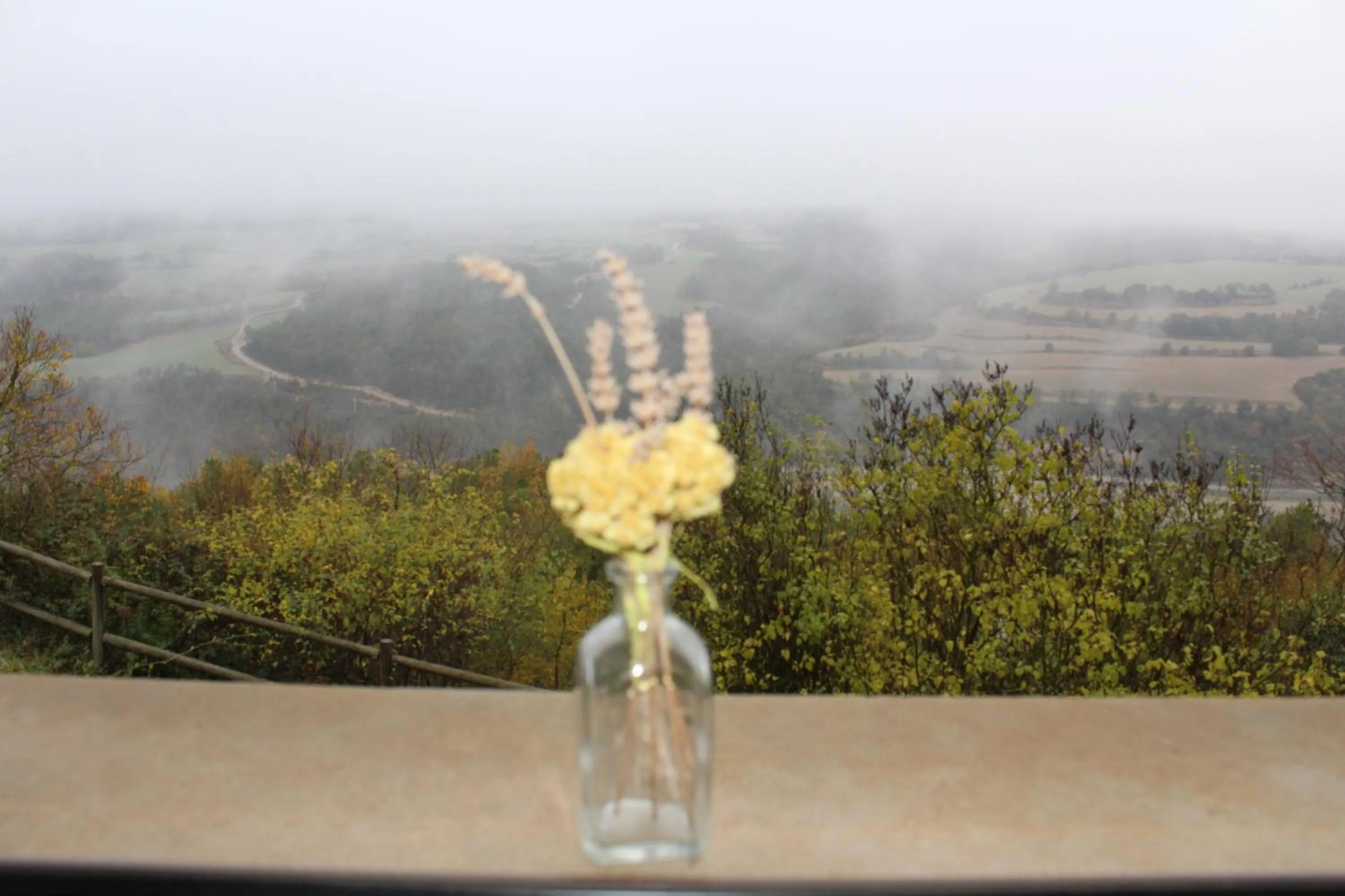 Natural landscape in Castell de Ceuró. Hotel Rural