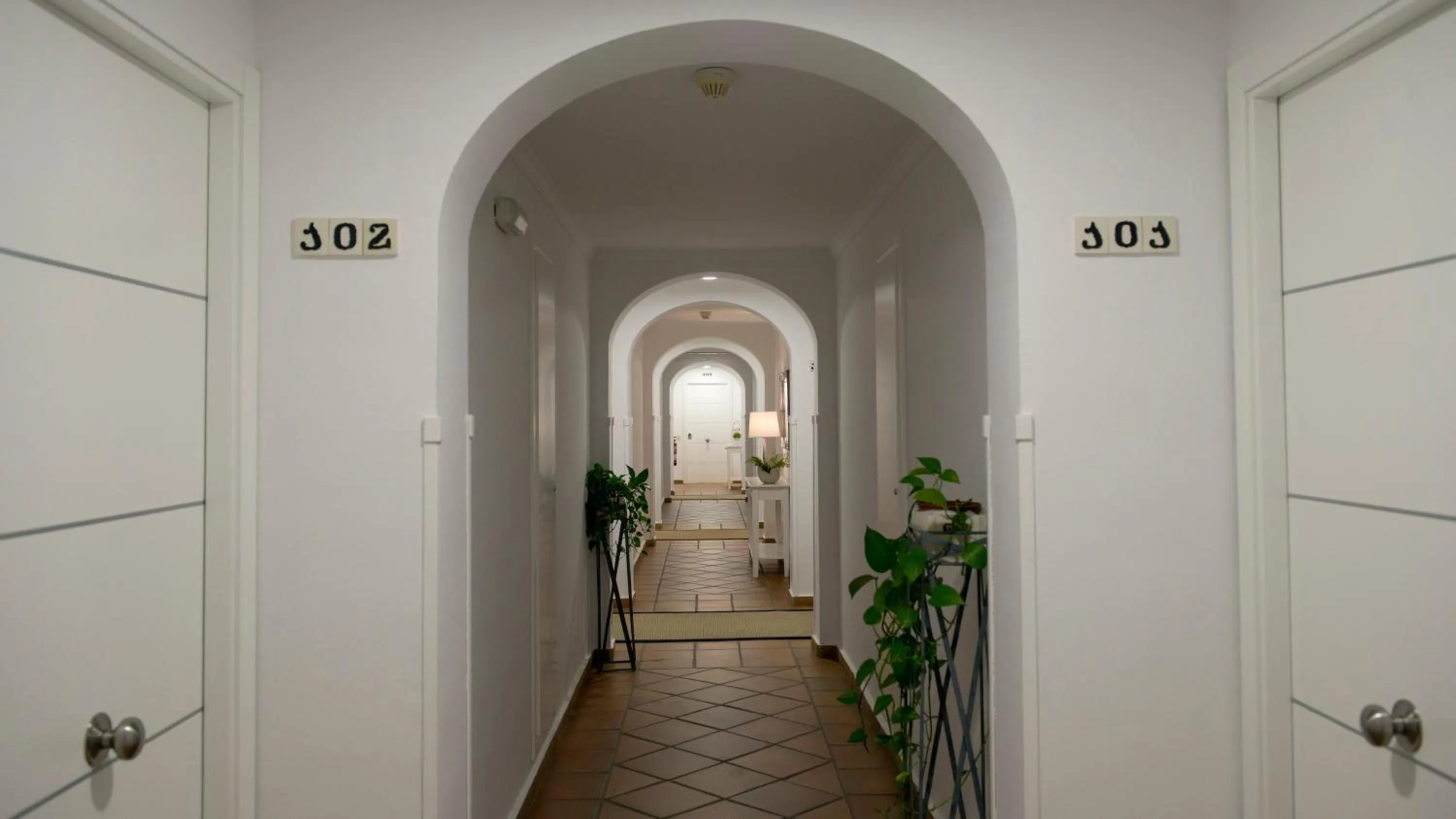 Other in Leo San Bruno