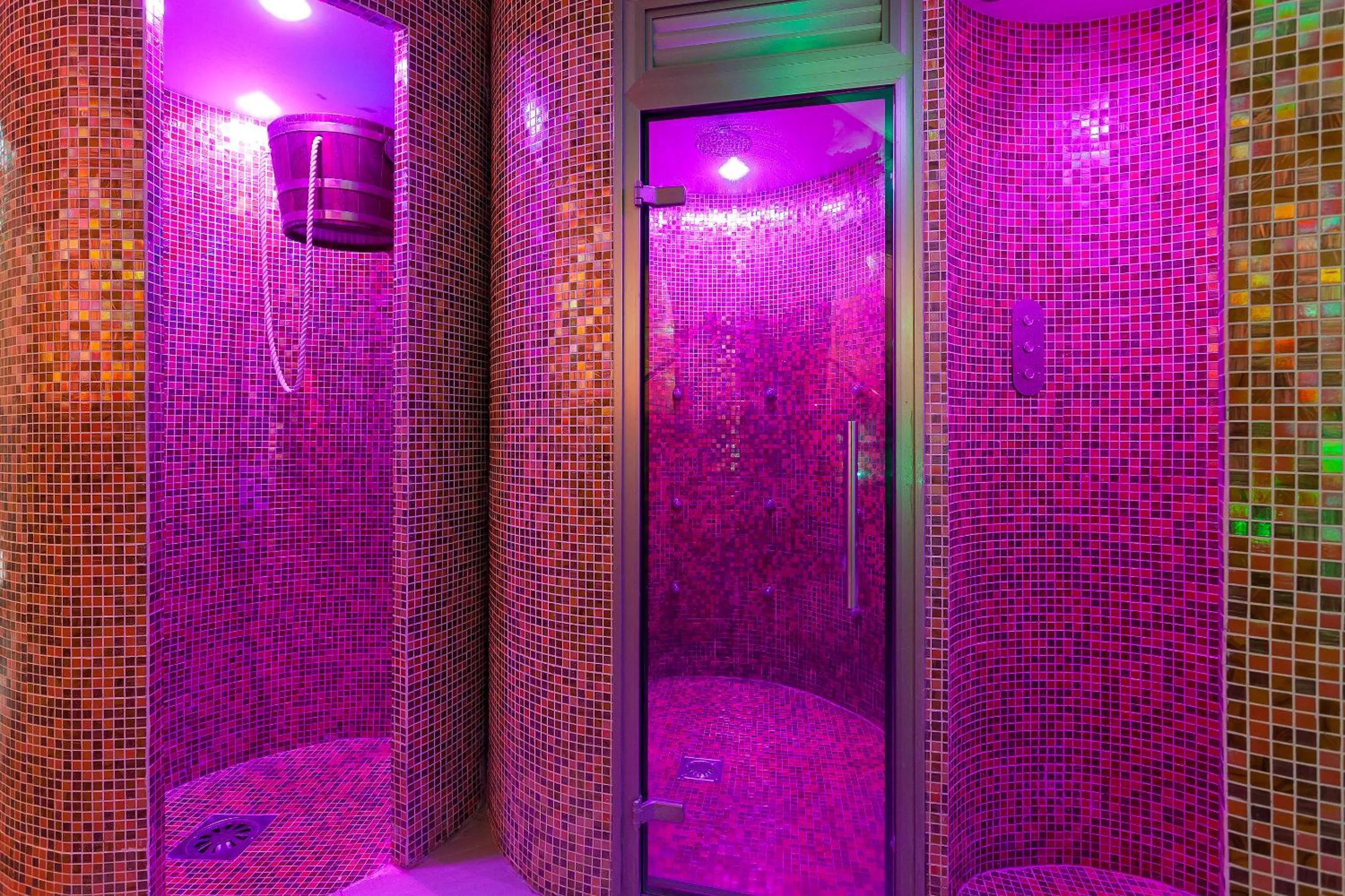 Spa and wellness centre/facilities in Hotel Beverly Park & Spa