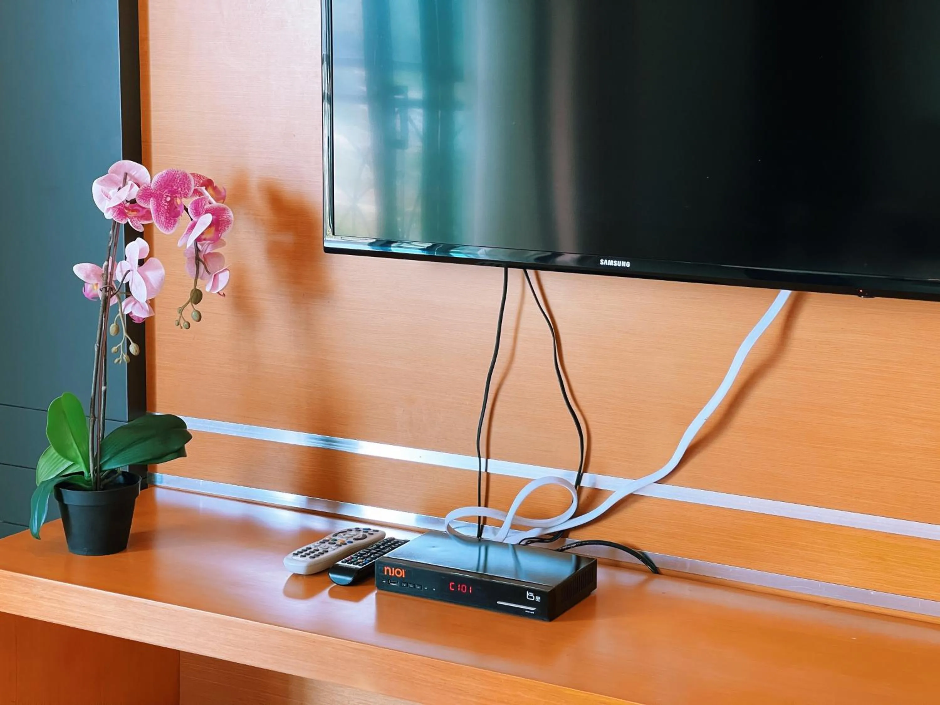 TV and multimedia in NOVA Apartment at Cameron