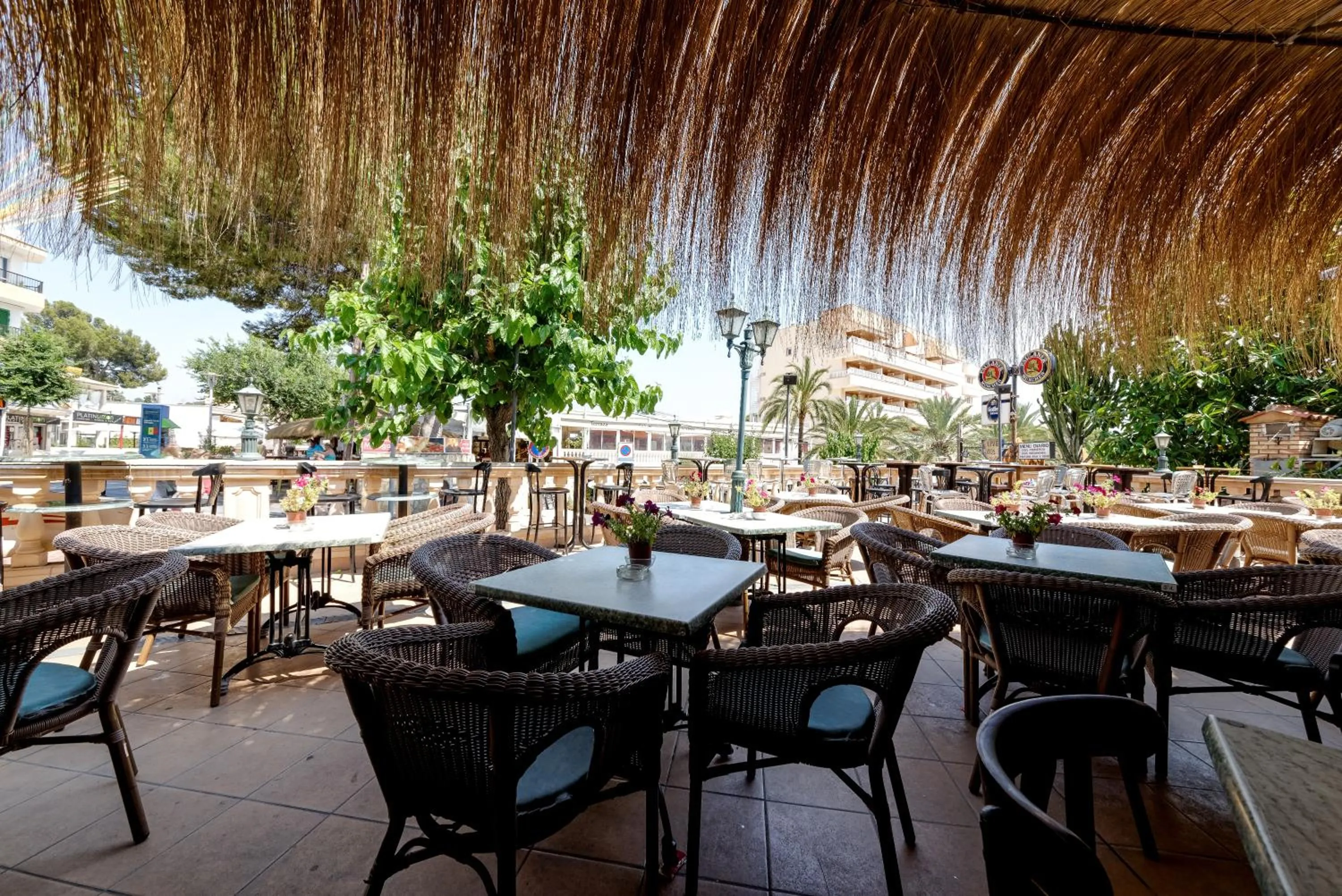 Drinks in Hotel Playas de Paguera