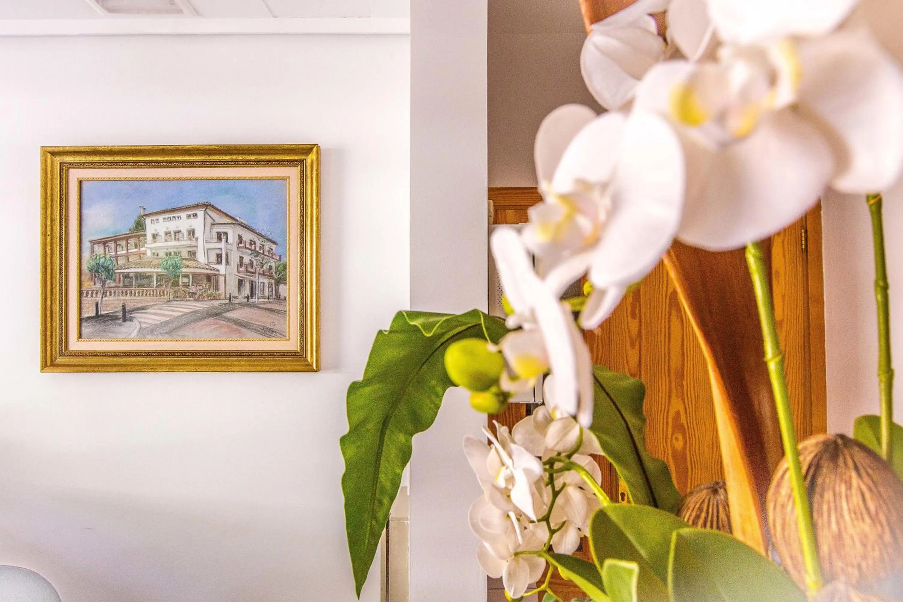 Lobby or reception in Hotel Playas de Paguera