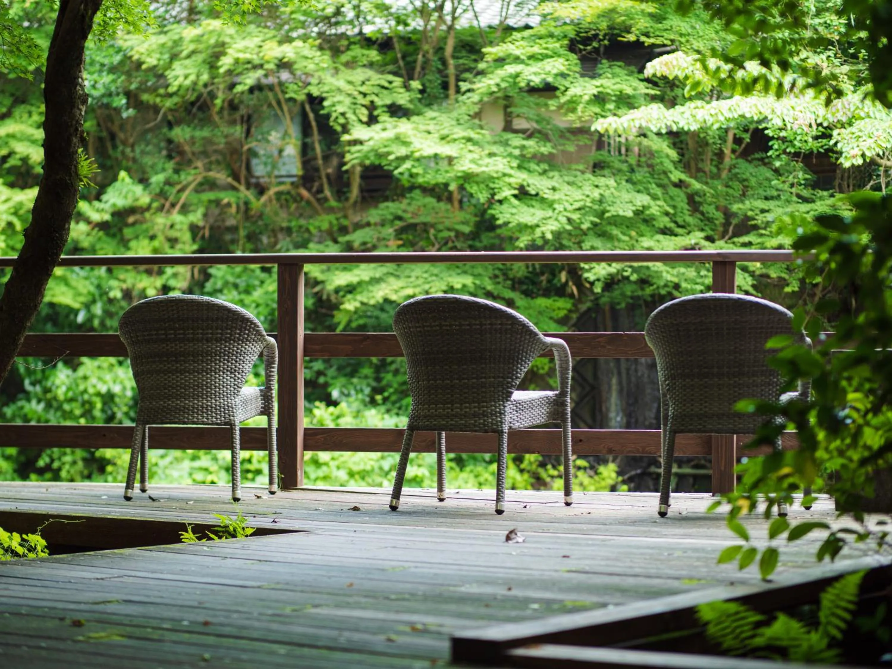 Hot Spring Bath in Yukyo no Hibiki Yusai
