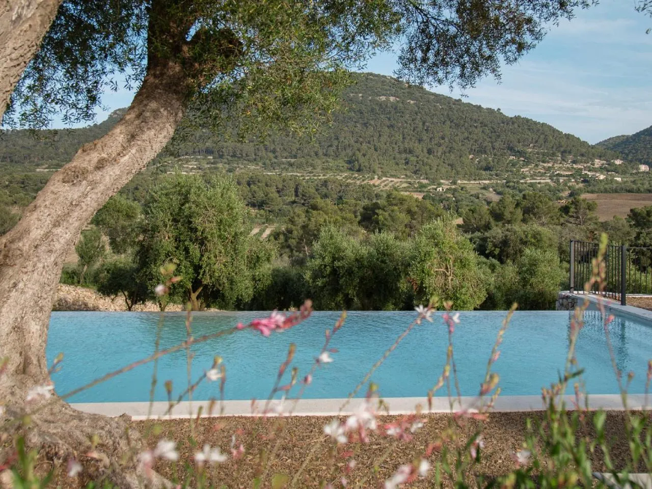Spring in Fincahotel Treurer - Olive Grove & Grand House - Adults Only