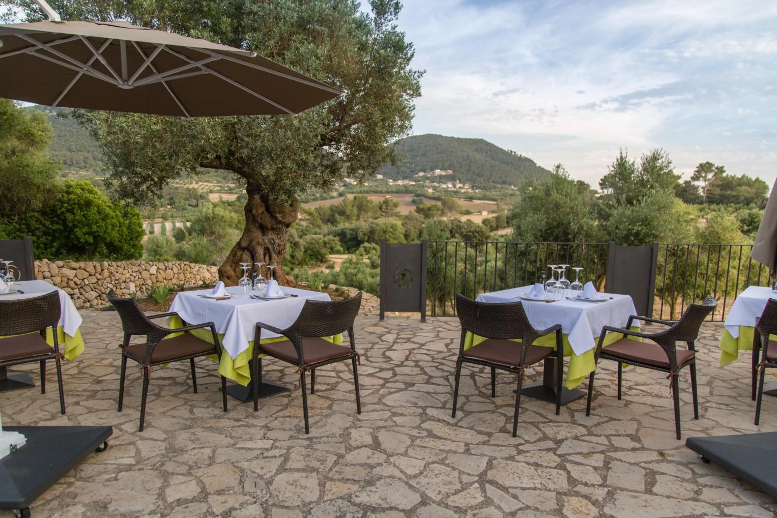 Natural landscape in Fincahotel Treurer - Olive Grove & Grand House - Adults Only