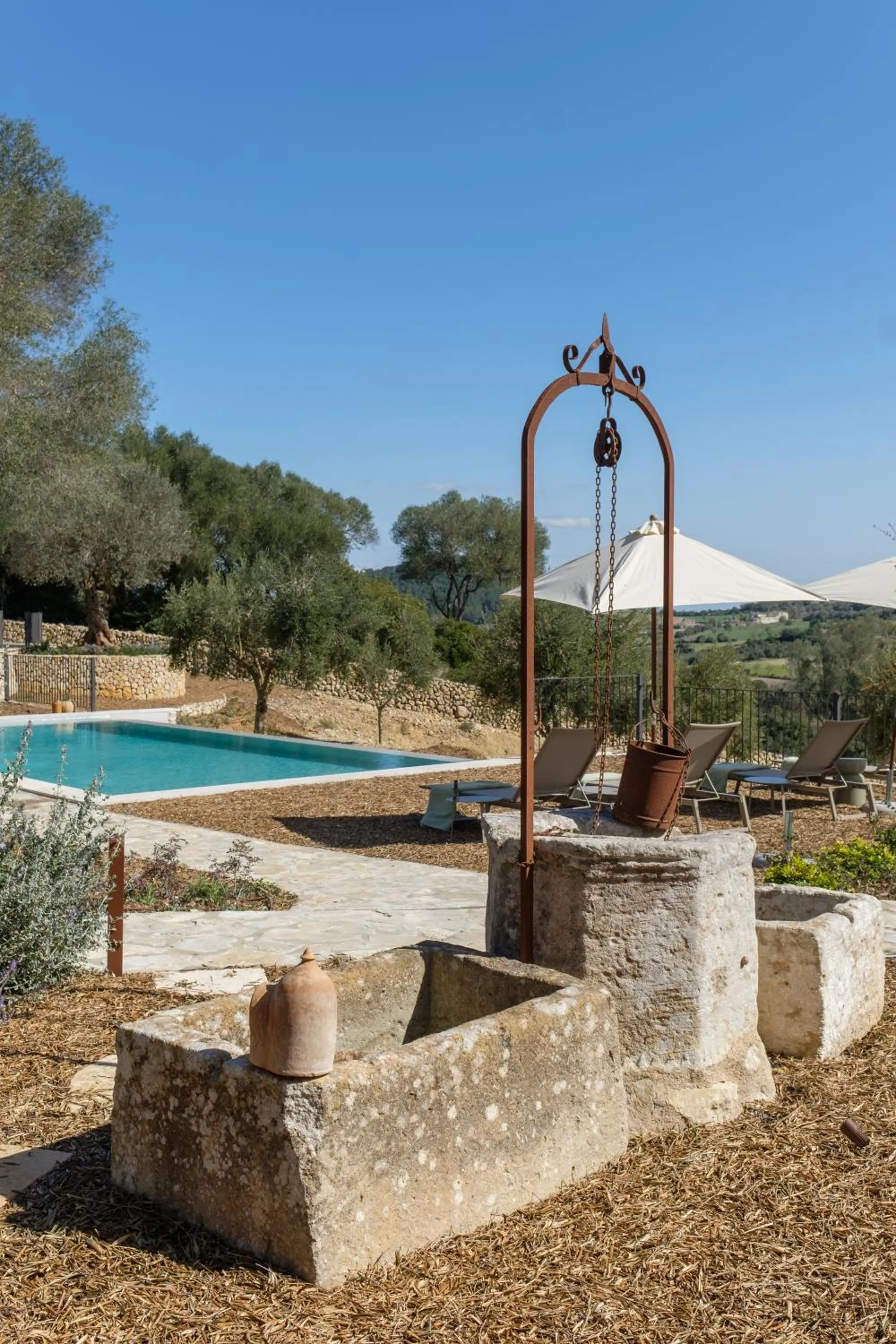 Natural landscape in Fincahotel Treurer - Olive Grove & Grand House - Adults Only