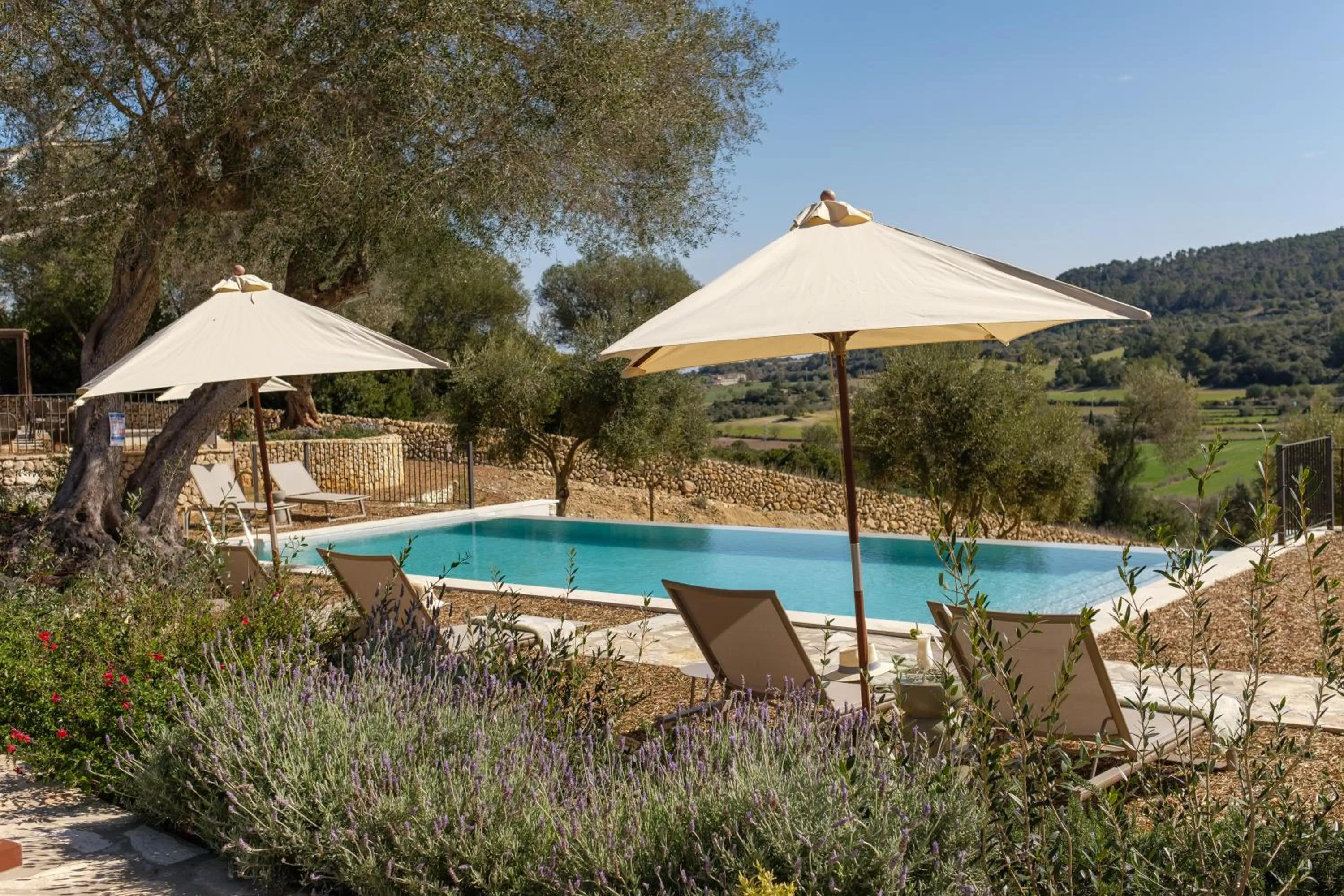 Mountain view in Fincahotel Treurer - Olive Grove & Grand House - Adults Only