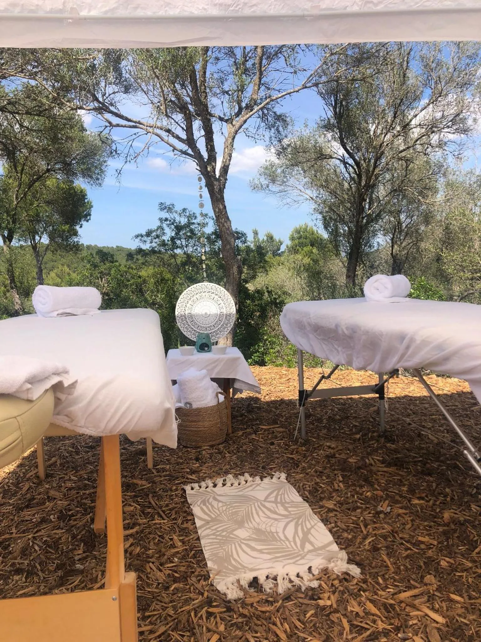 Natural landscape in Fincahotel Treurer - Olive Grove & Grand House - Adults Only