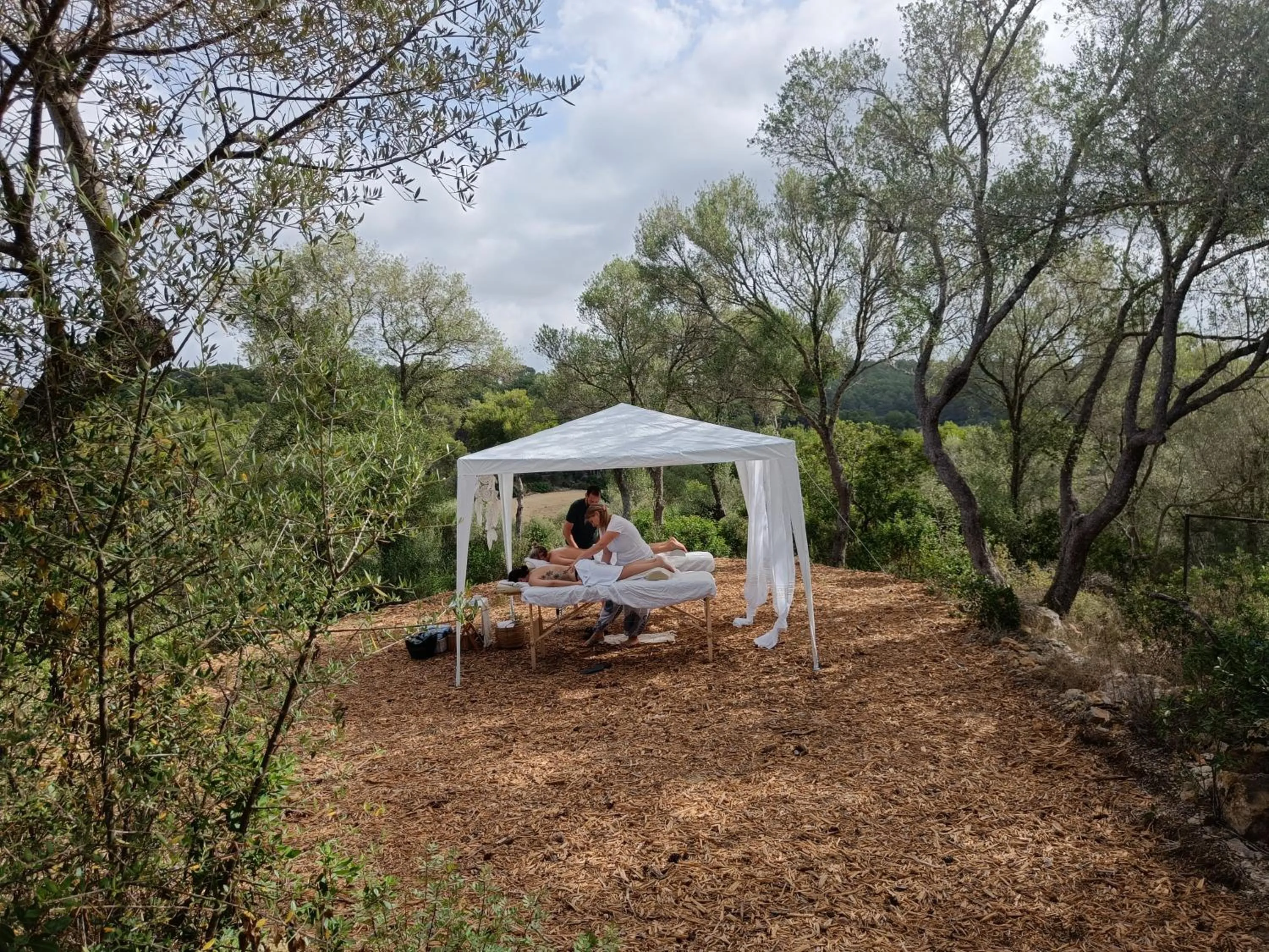 Natural landscape in Fincahotel Treurer - Olive Grove & Grand House - Adults Only