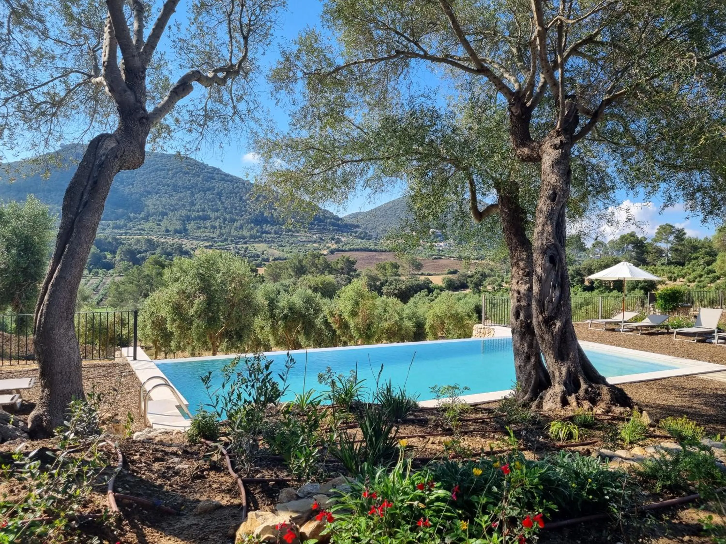 Garden in Fincahotel Treurer - Olive Grove & Grand House - Adults Only