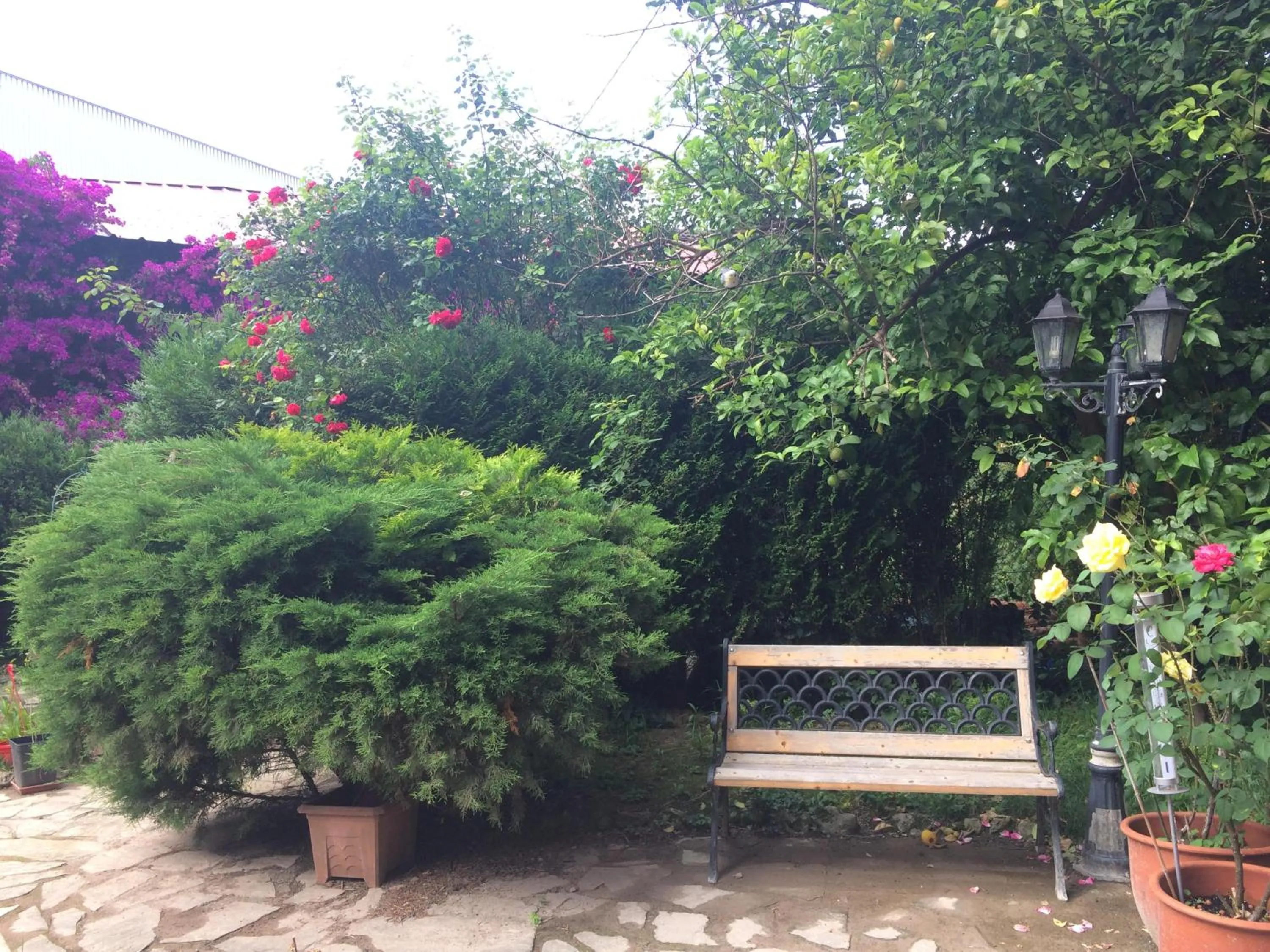 Garden in Hotel Ria de Bilbao