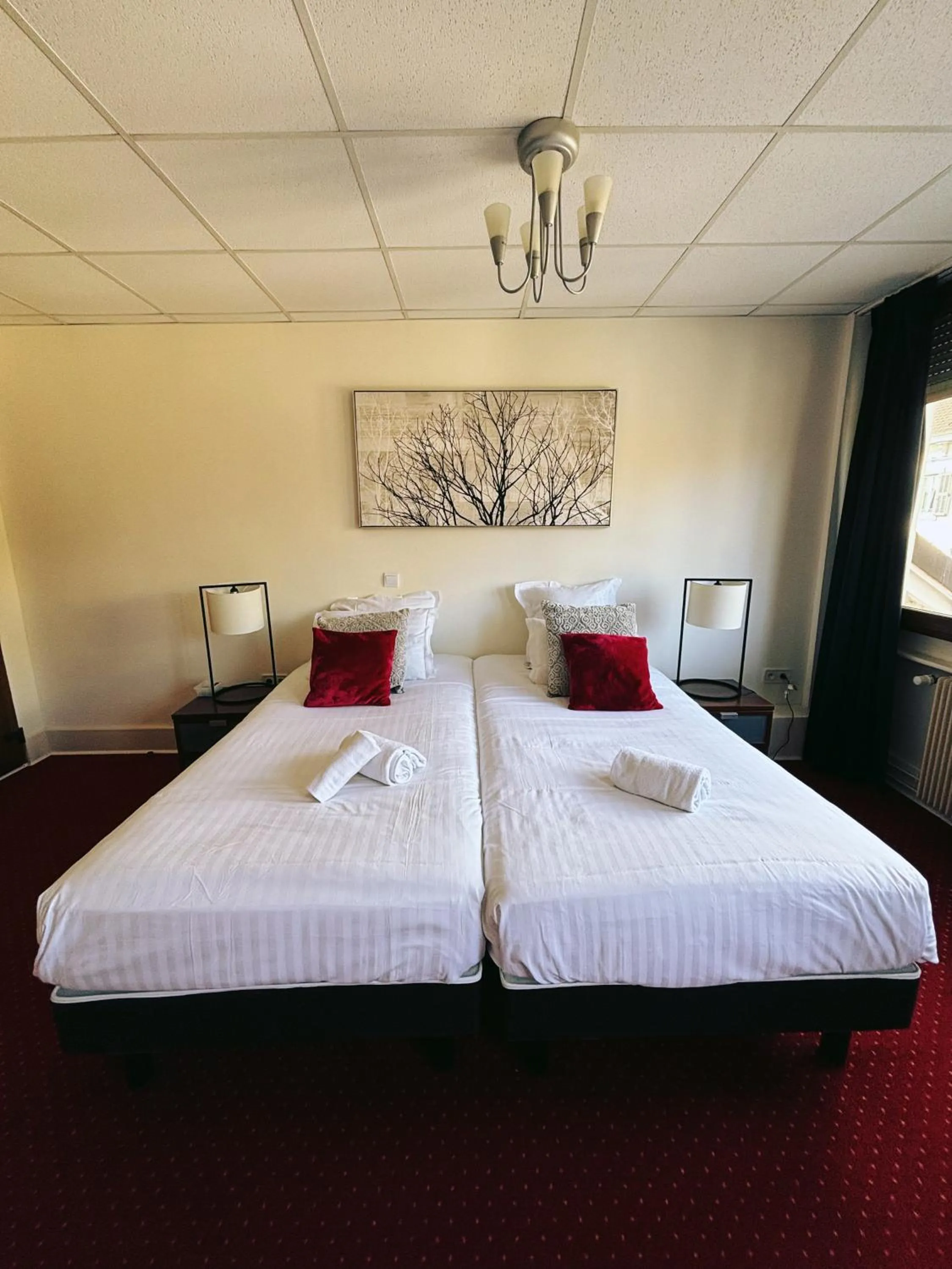 Bed in Hotel Le Divona "au coeur de Divonne"