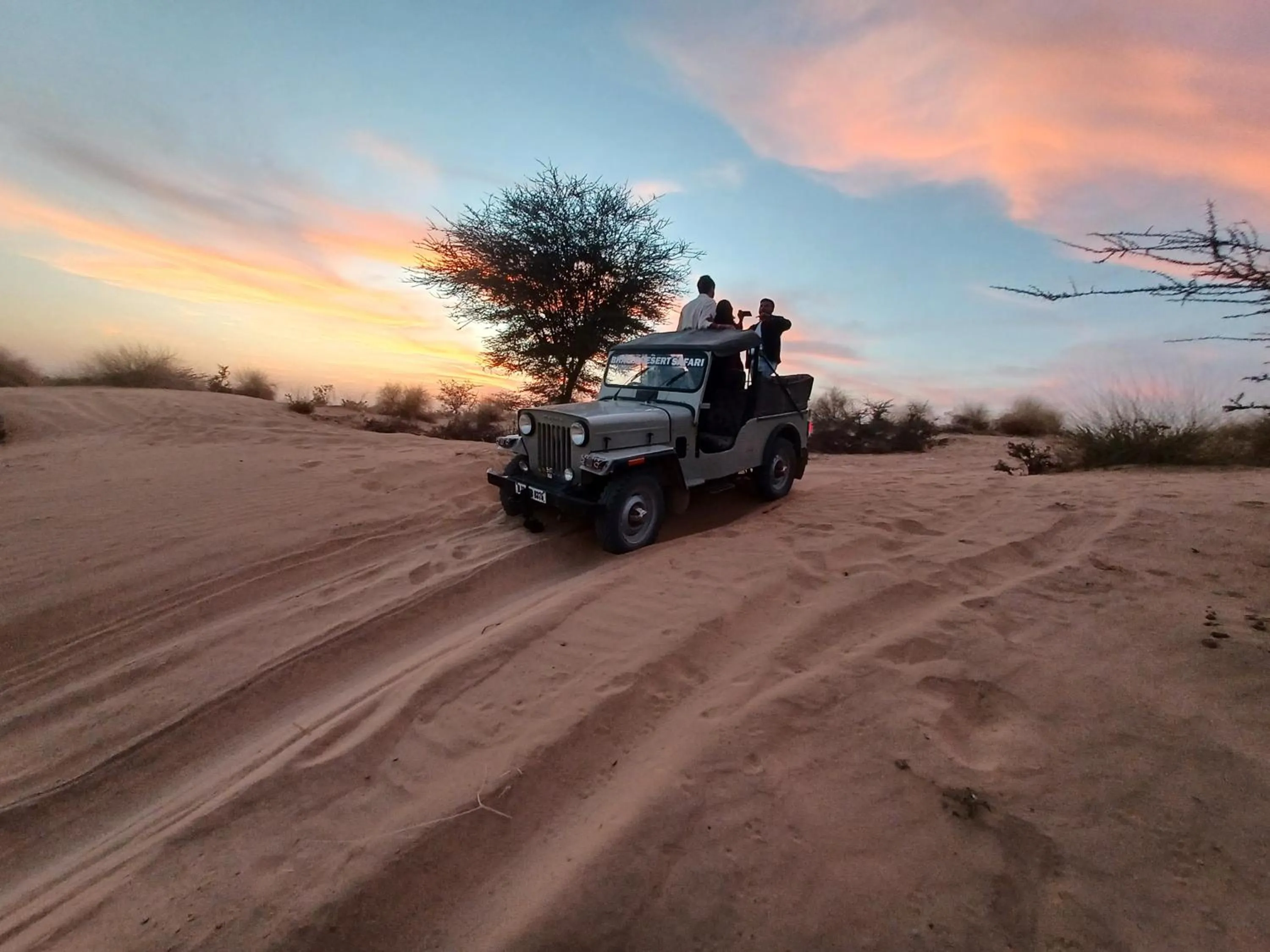 Activities in Bikaner Desert Camp and Resort