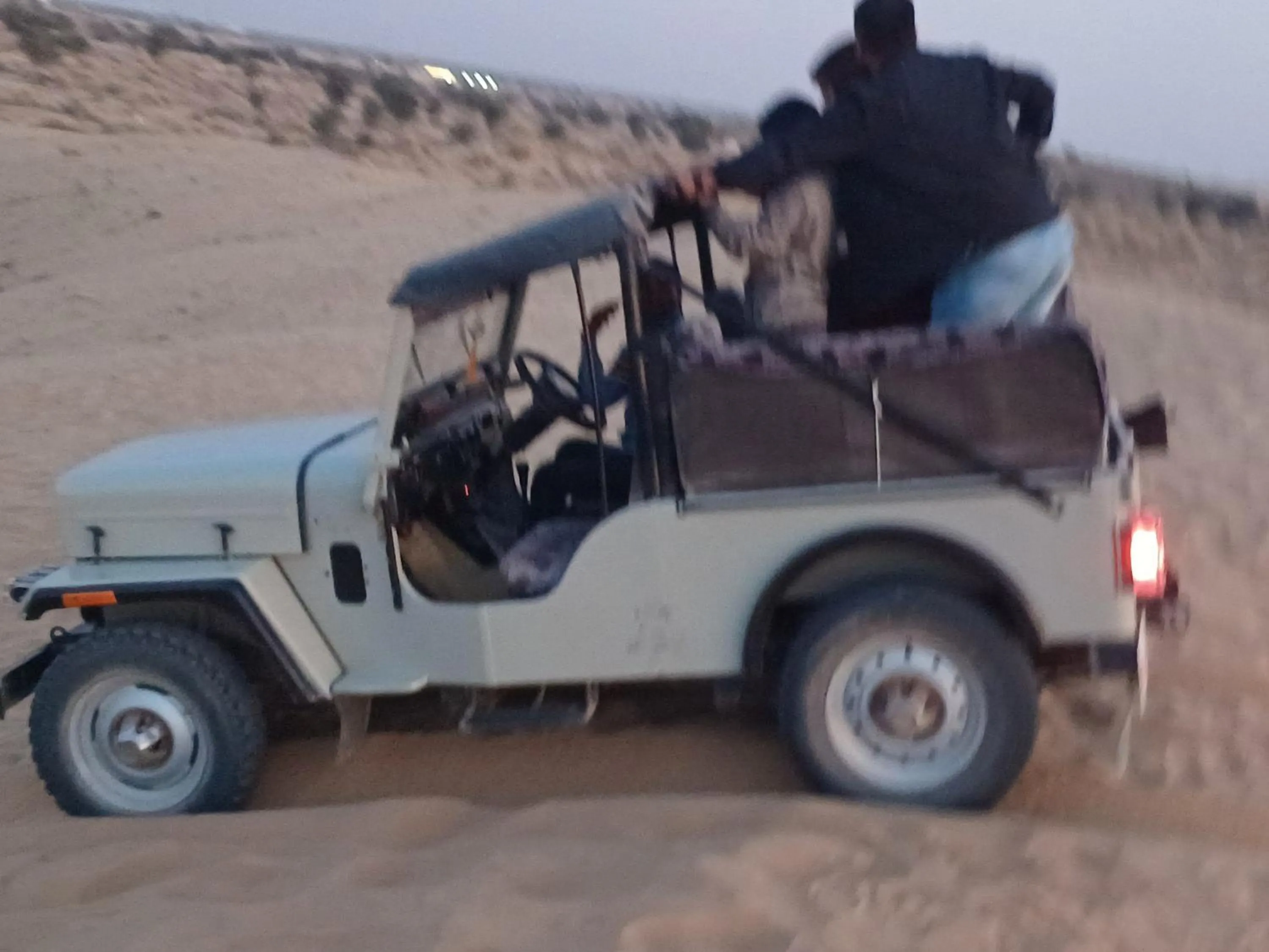 Activities in Bikaner Desert Camp and Resort
