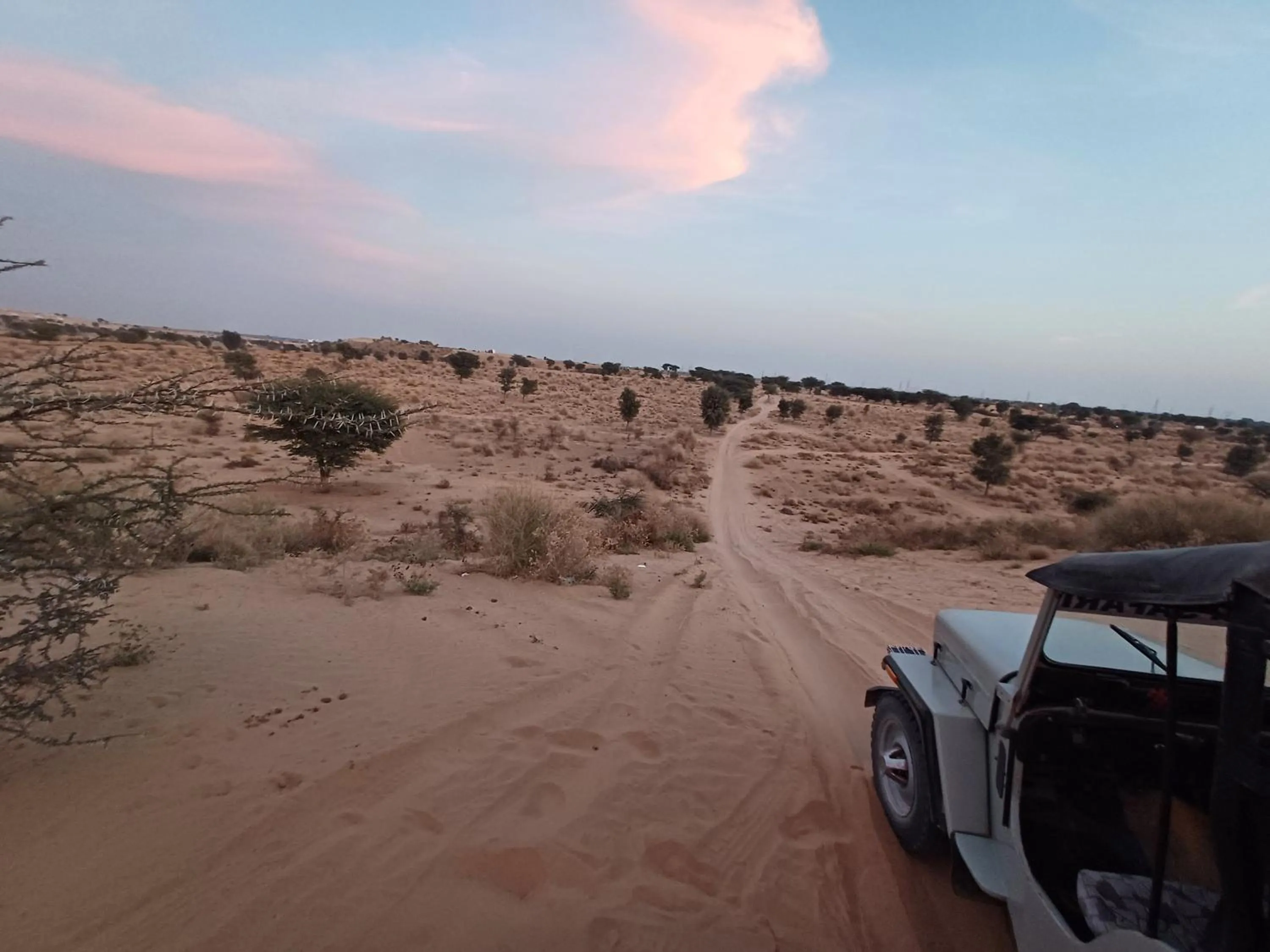 Activities in Bikaner Desert Camp and Resort