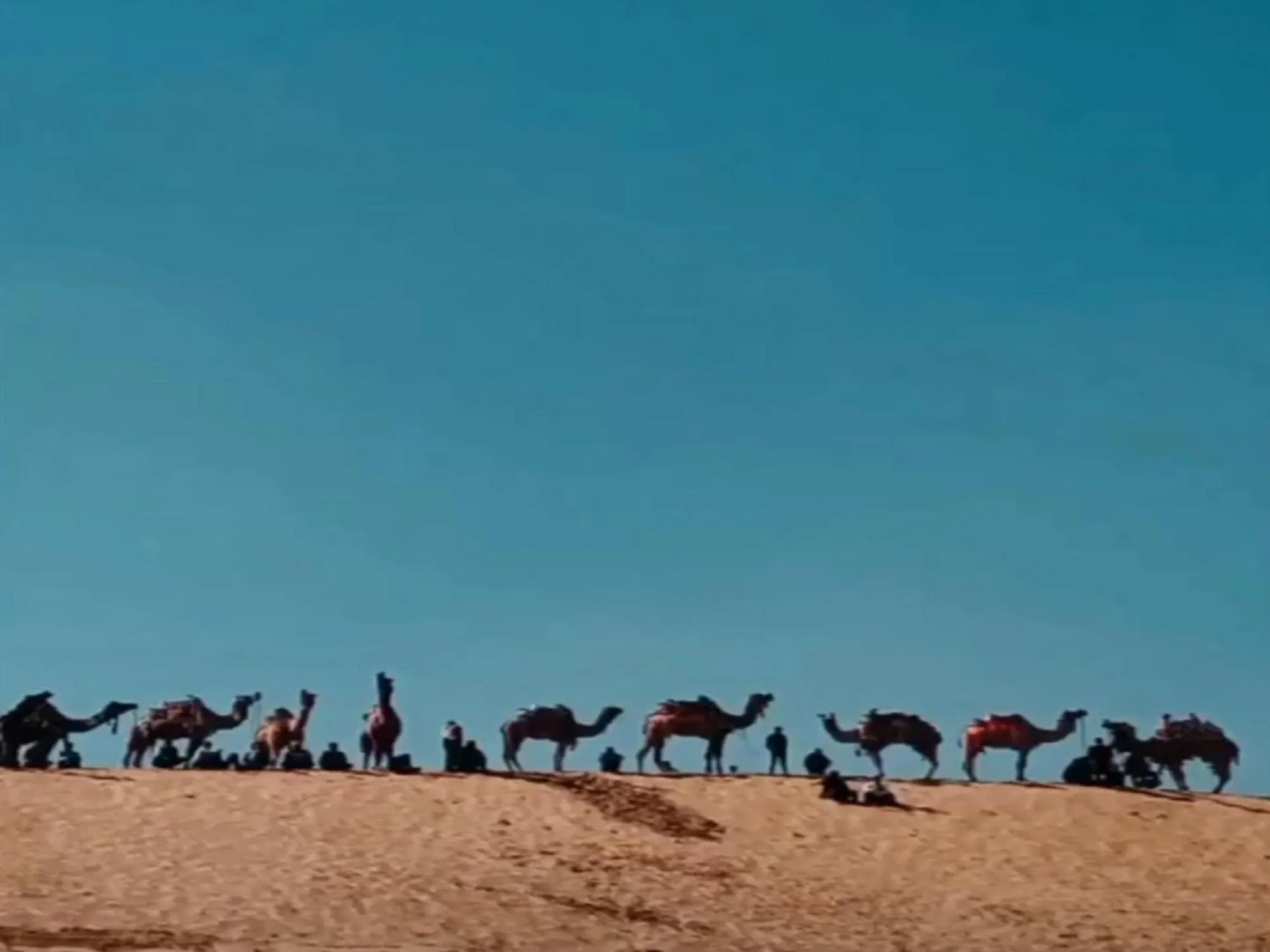 Natural landscape in Bikaner Desert Camp and Resort