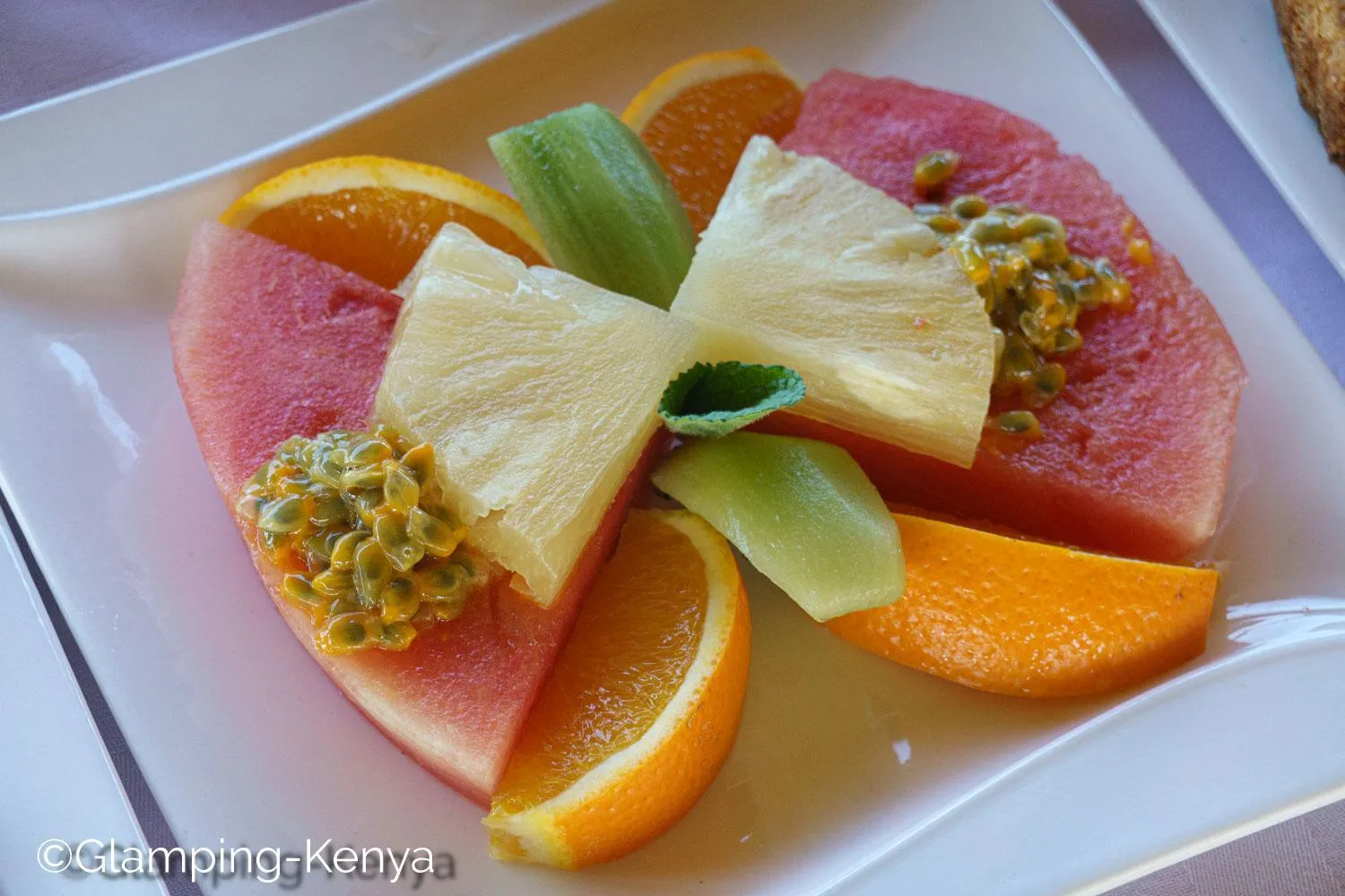 Glamping Kenya Mount Kenya Lodge Nanyuki