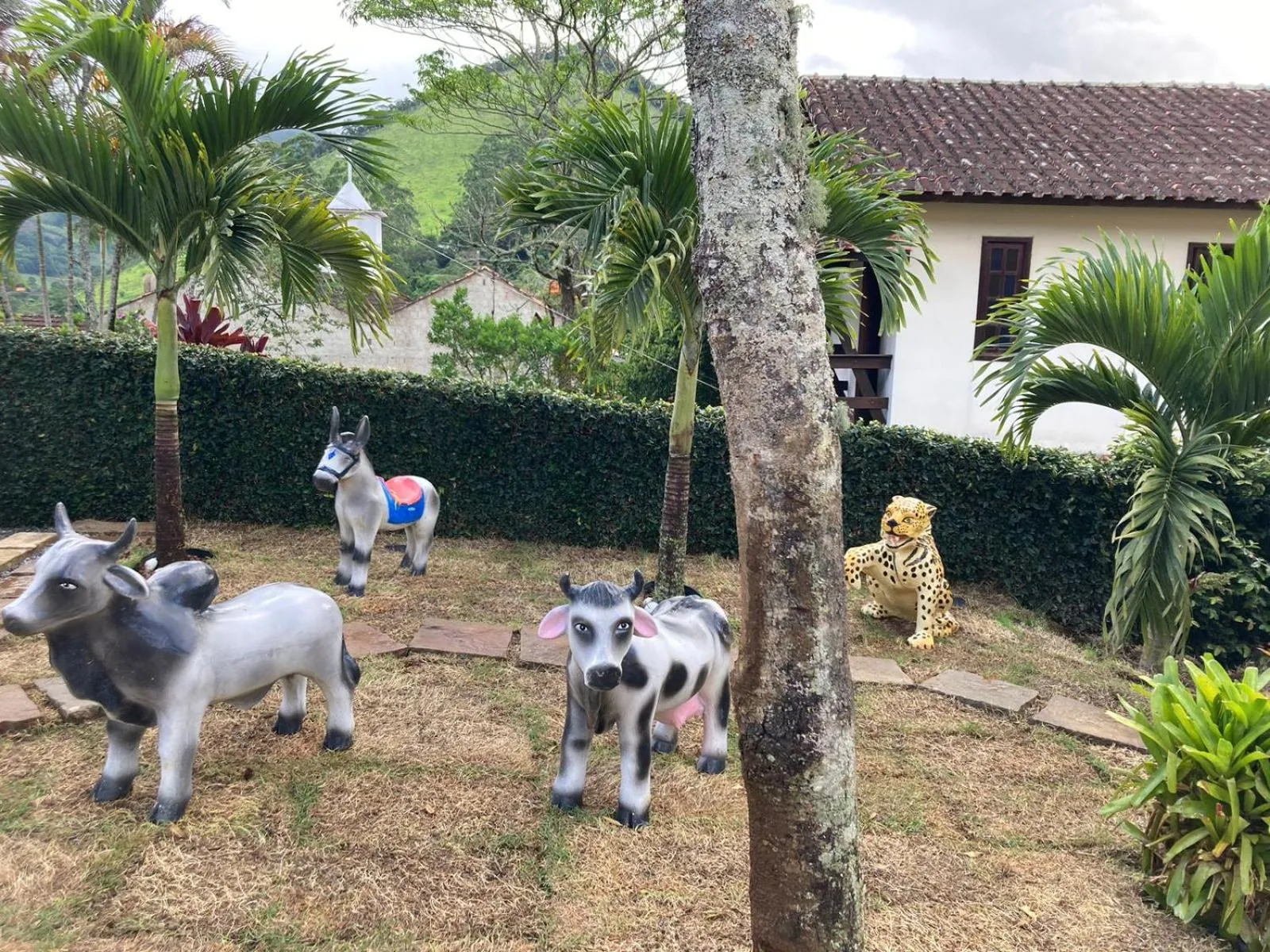 Garden in Pousada Renovo da Serra