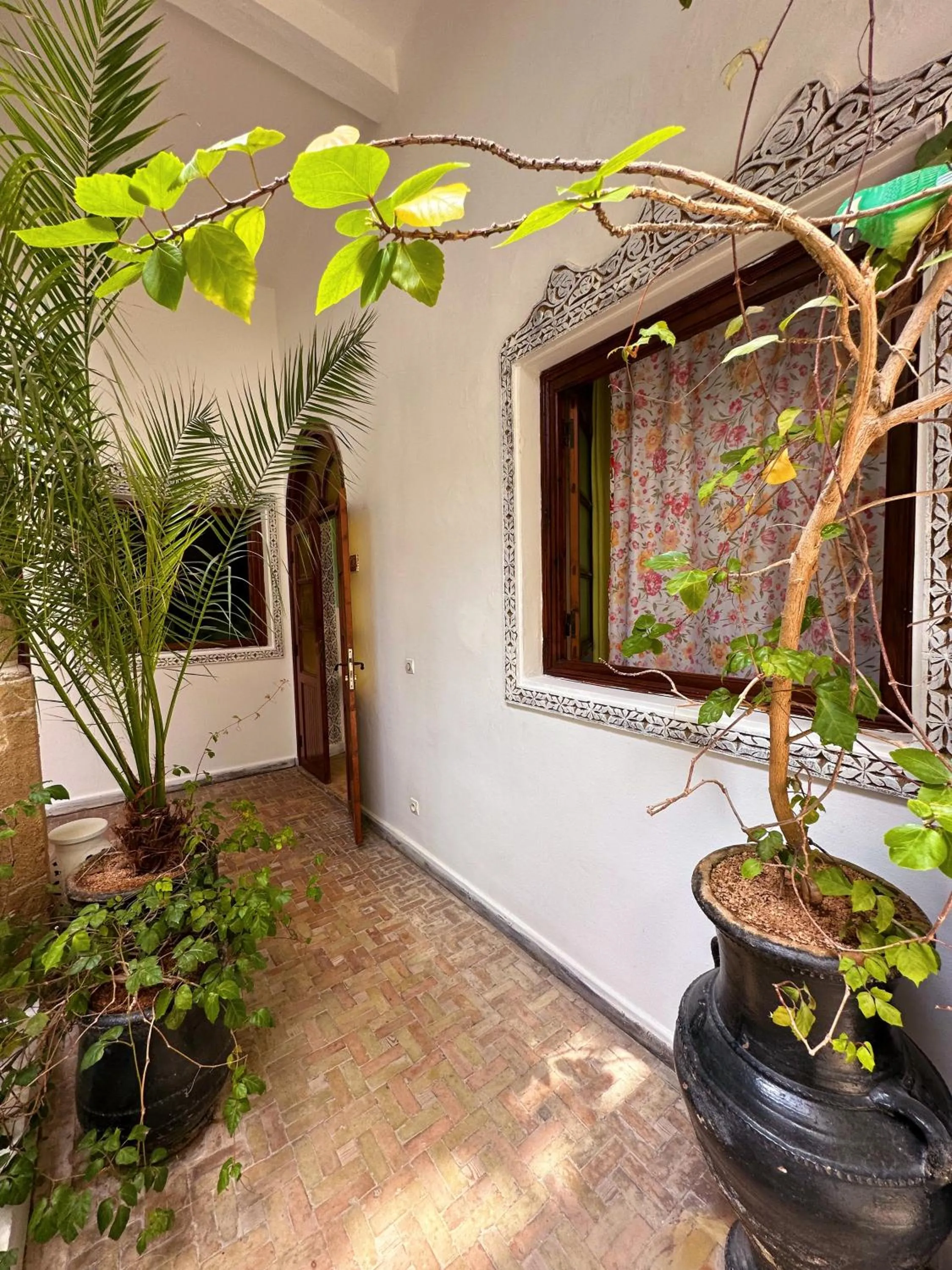 Patio in Les Terrasses d'Essaouira - Yoga Studio