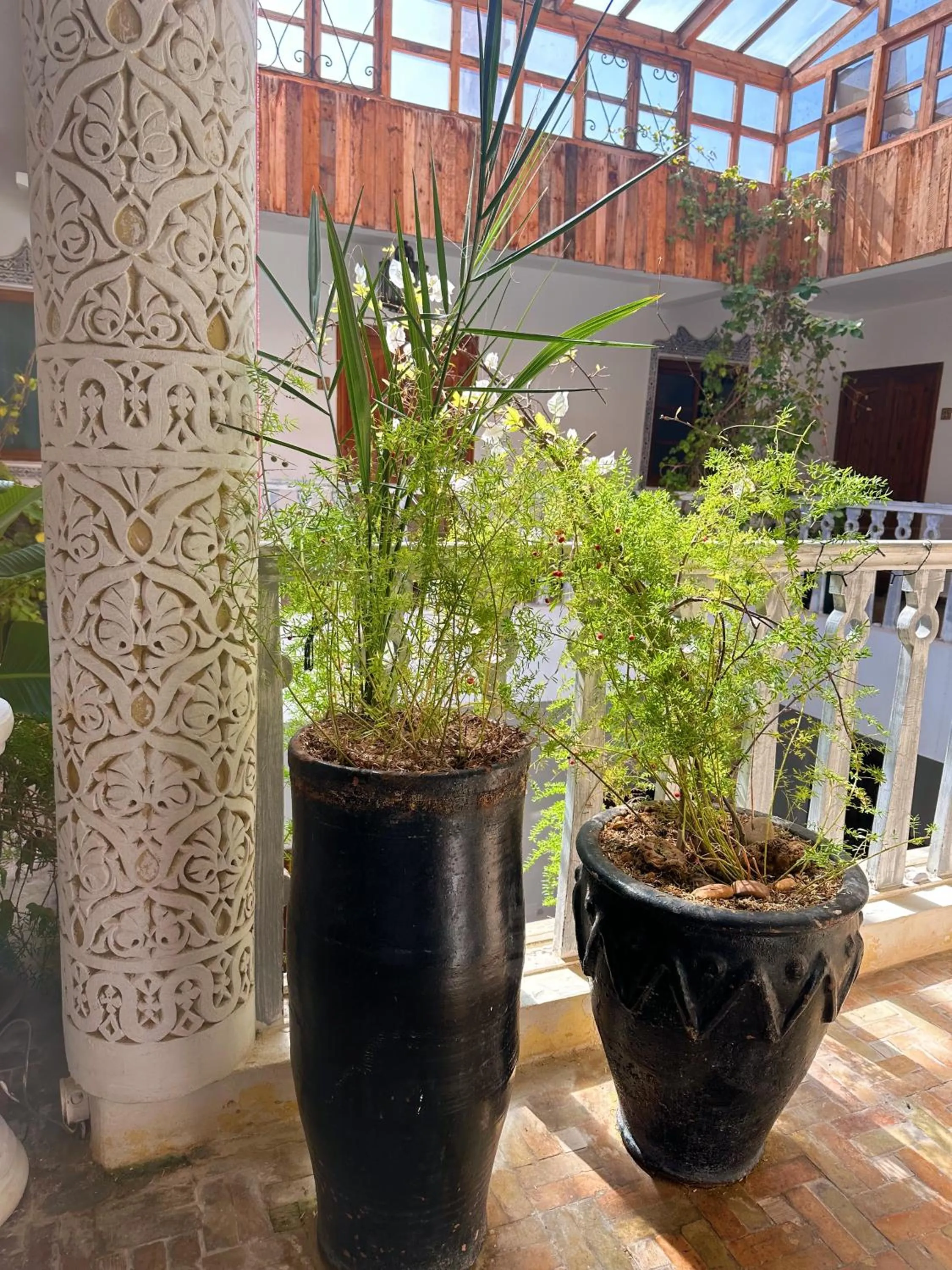 Spring in Les Terrasses d'Essaouira - Yoga Studio