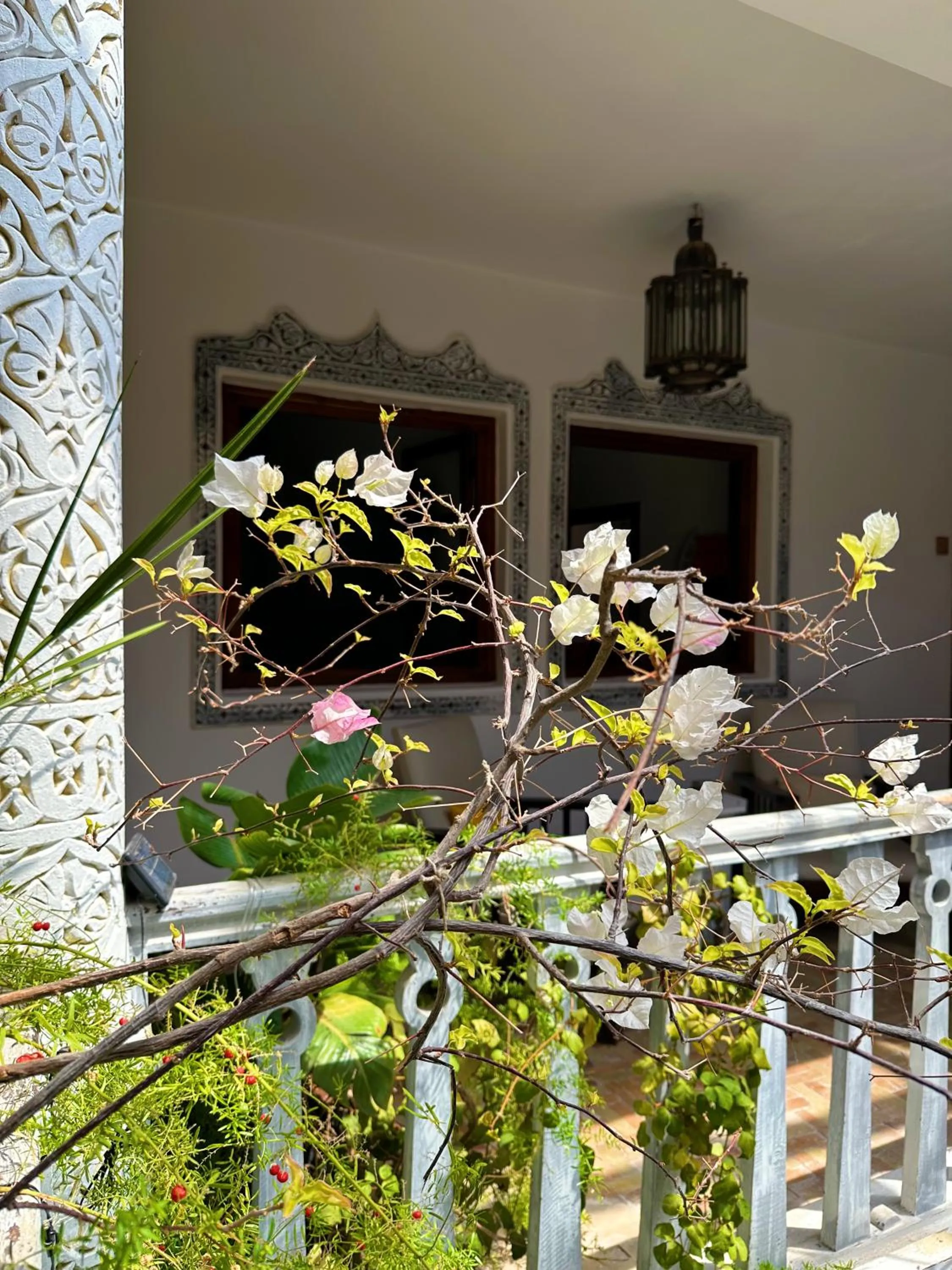 Spring in Les Terrasses d'Essaouira - Yoga Studio