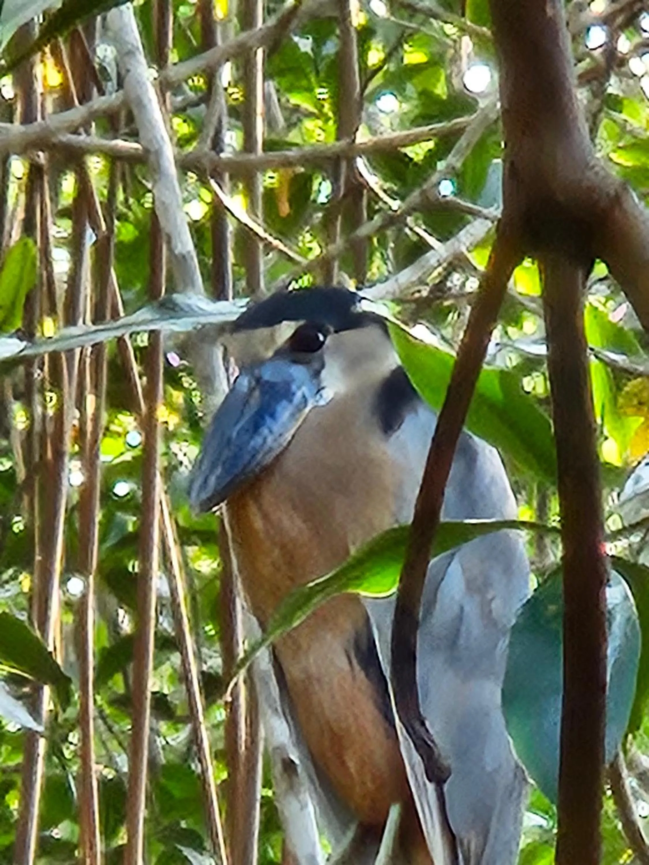 Activities in Hotel Tranquilo