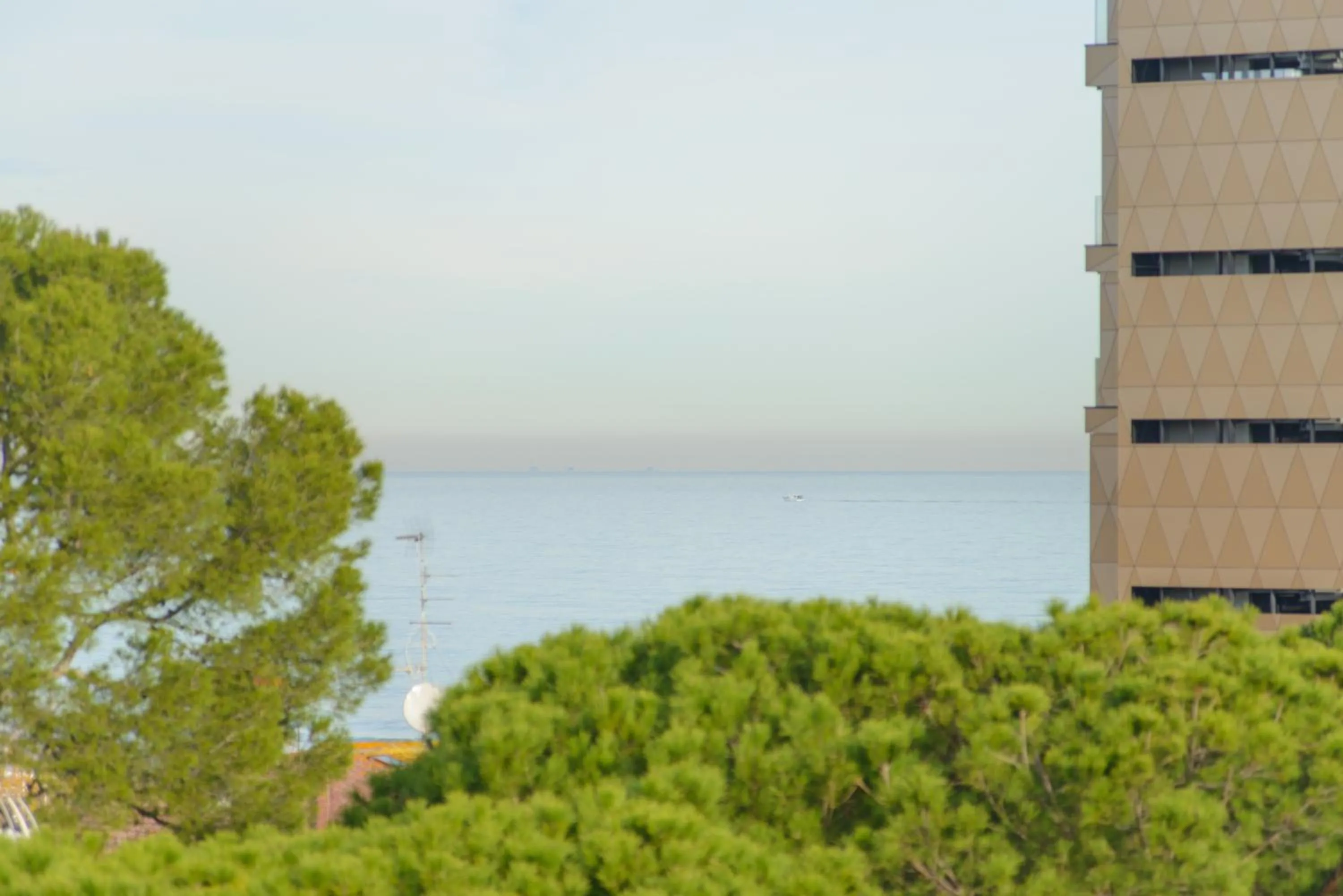 Natural landscape in Palace Hotel Domus Mea Riccione