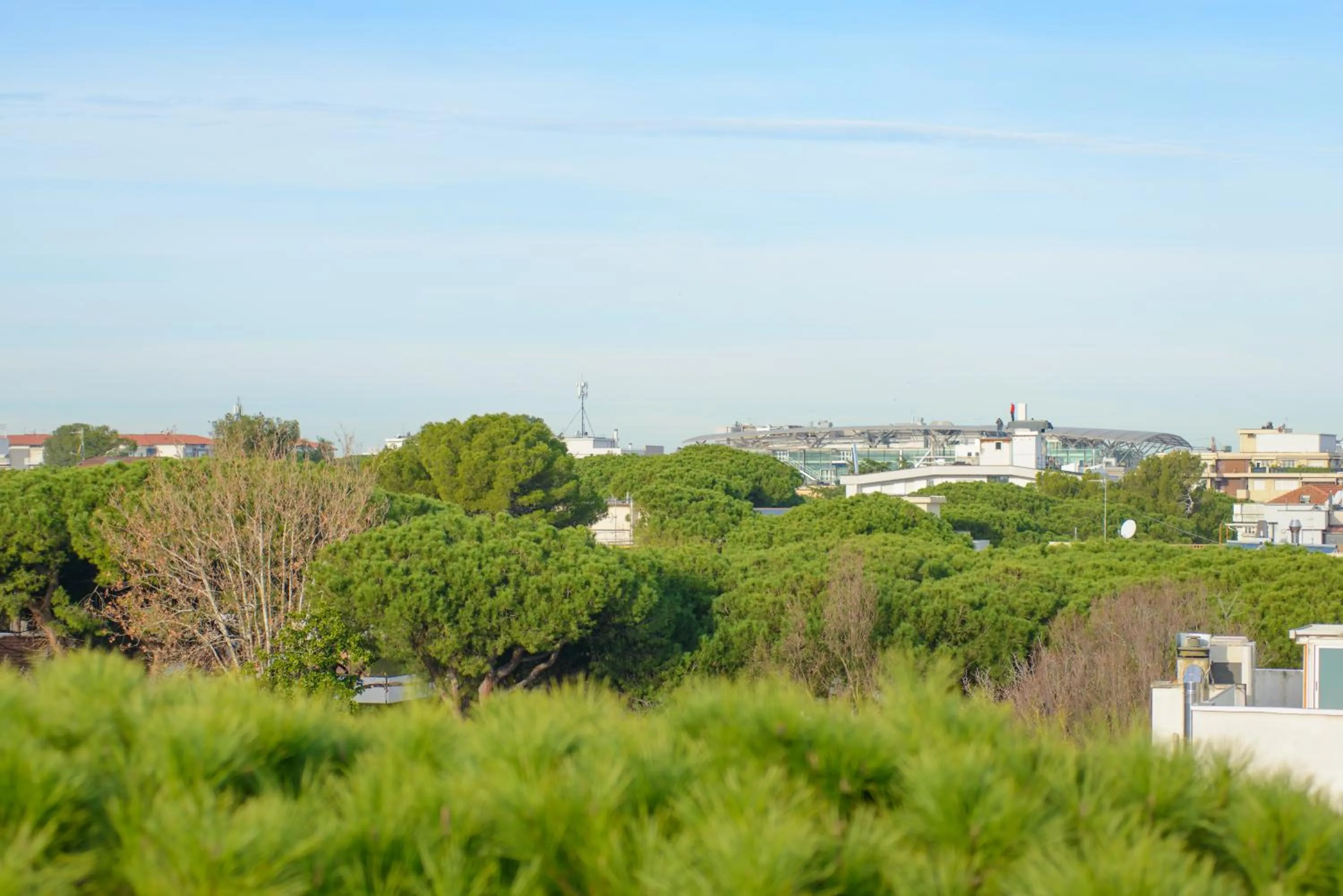 Nearby landmark in Palace Hotel Domus Mea Riccione