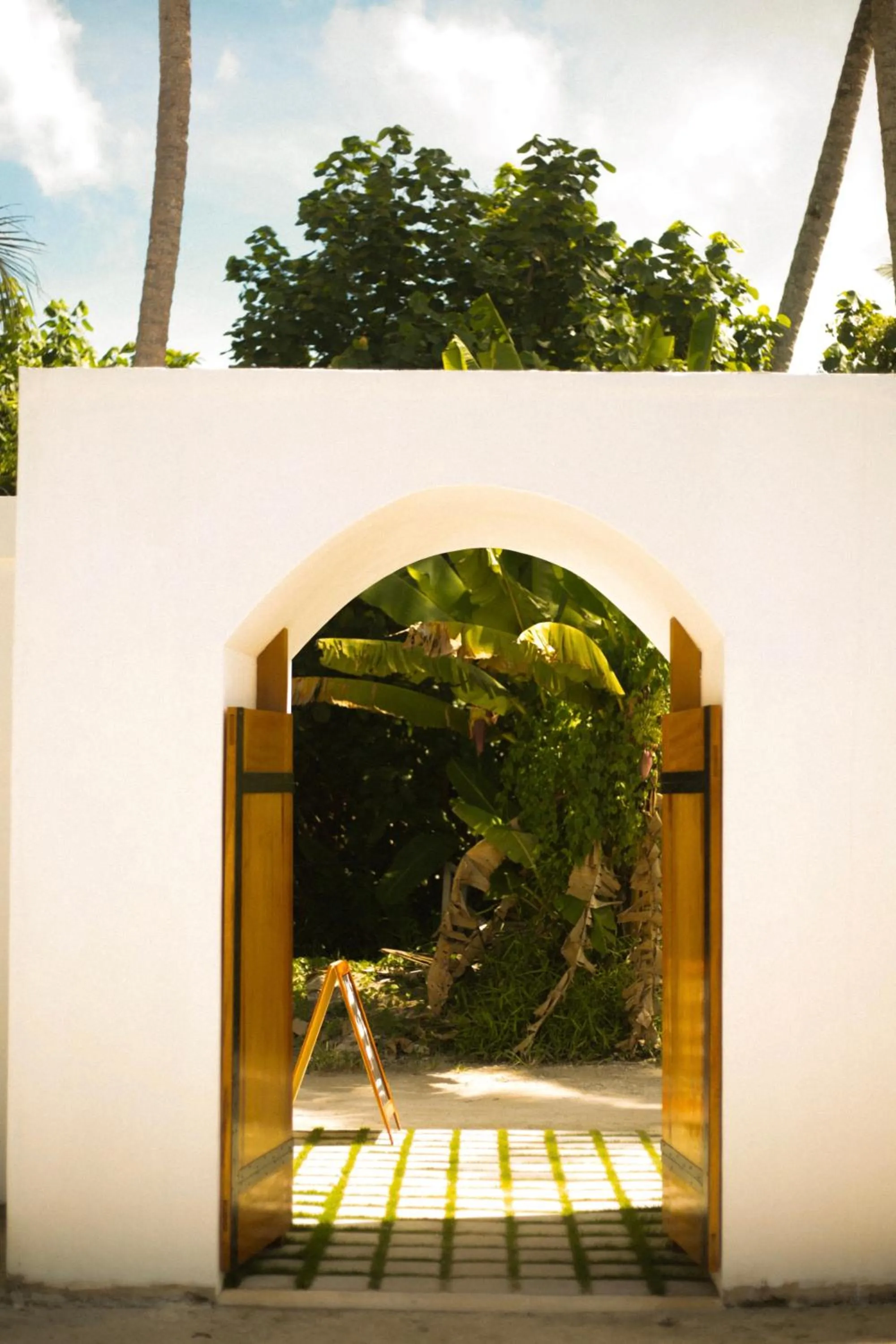 La Belle Hollow Trees