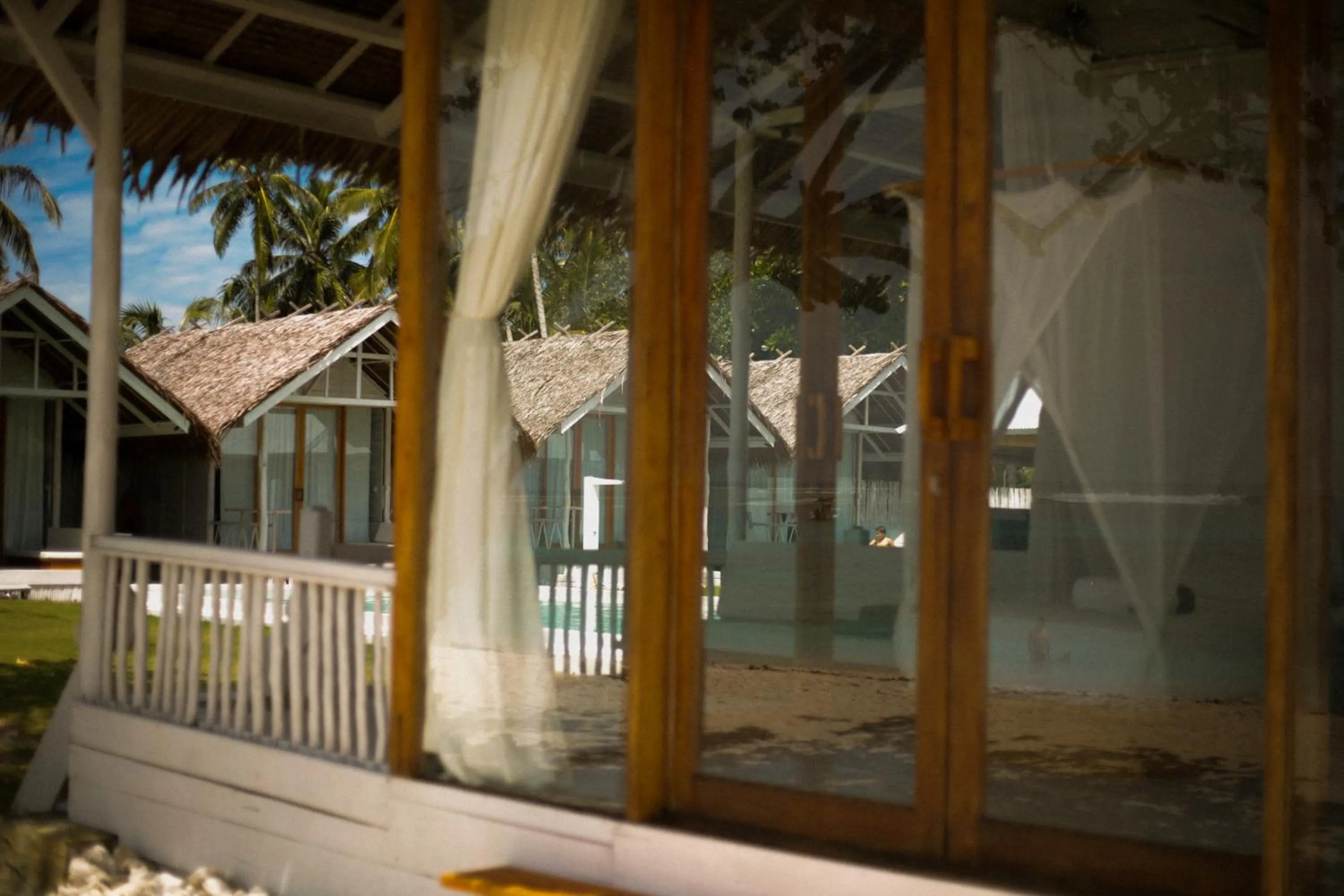 La Belle Hollow Trees