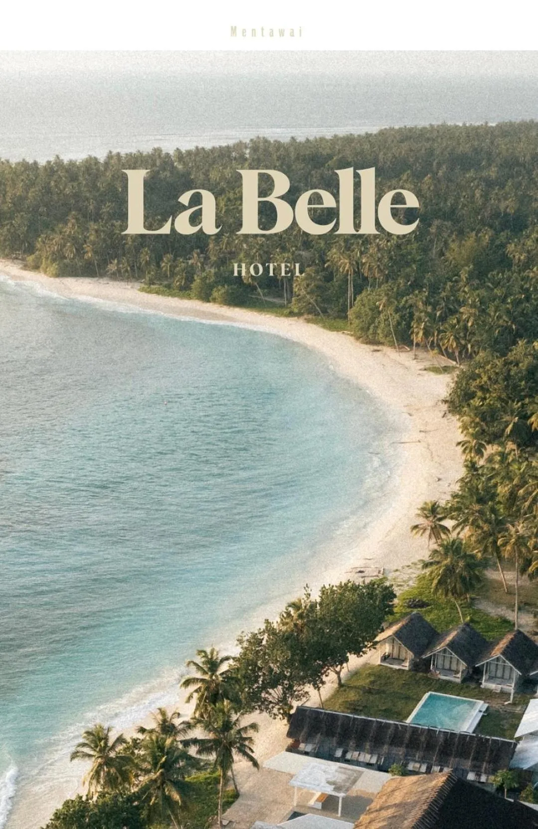 La Belle Hollow Trees