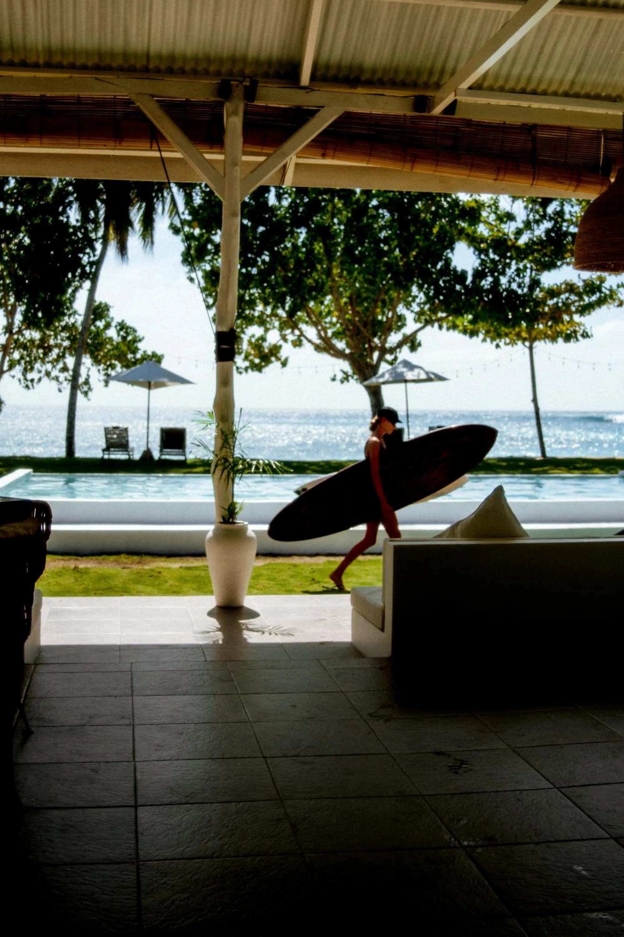 La Belle Hollow Trees