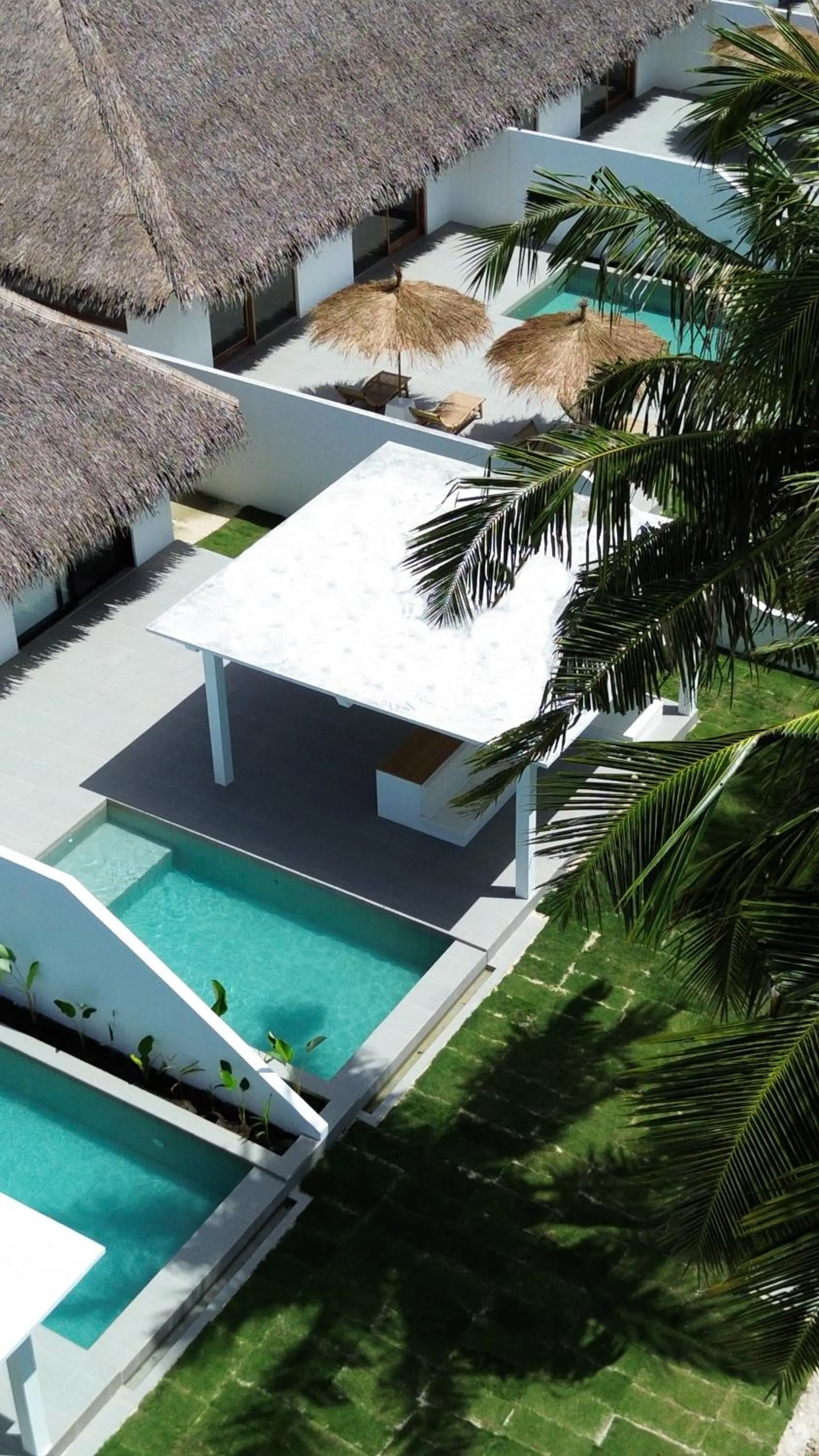 La Belle Hollow Trees