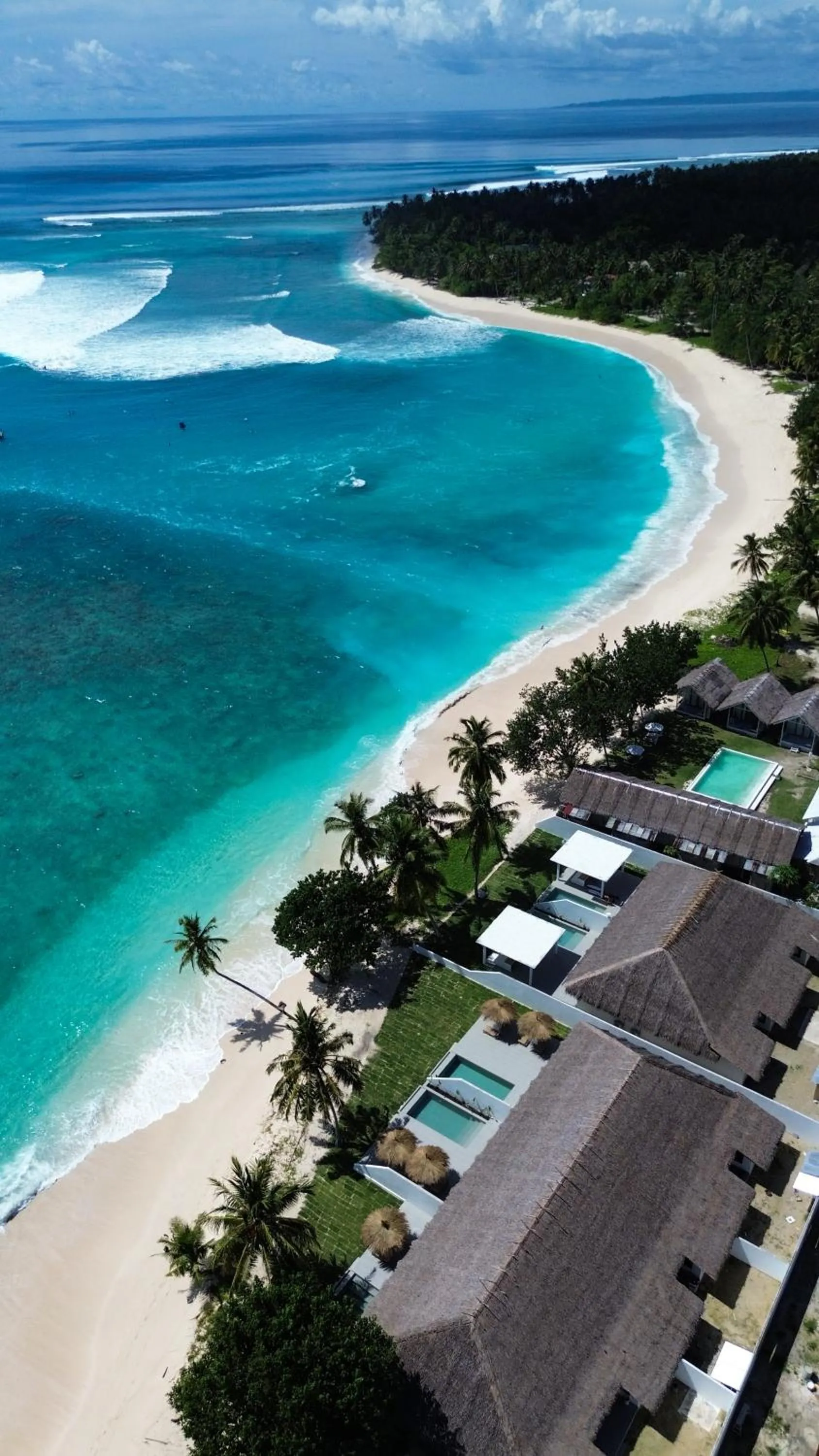 La Belle Hollow Trees