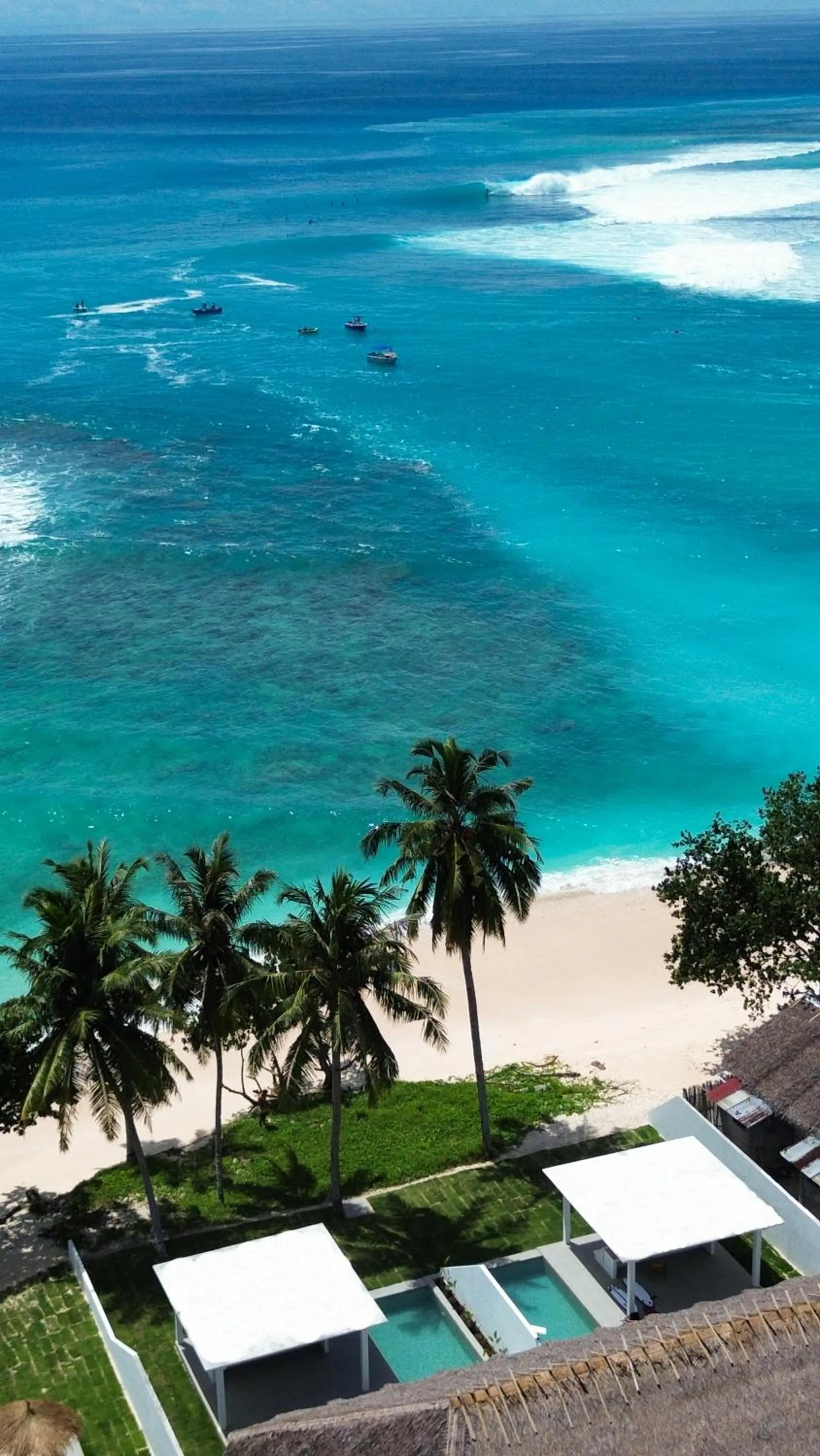 La Belle Hollow Trees